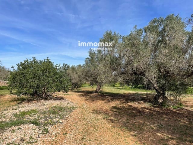 Terre non Aménagée à vendre à Aldover - 51 000 € (Ref: 9609964)