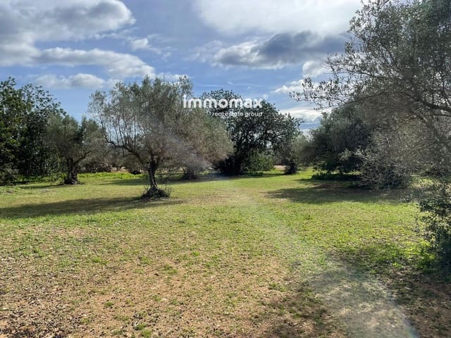 Terre non Aménagée à vendre à Aldover - 51 000 € (Ref: 9609964)