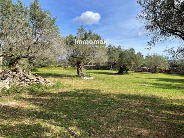 Terre non Aménagée à vendre à Aldover - 51 000 € (Ref: 9609964)