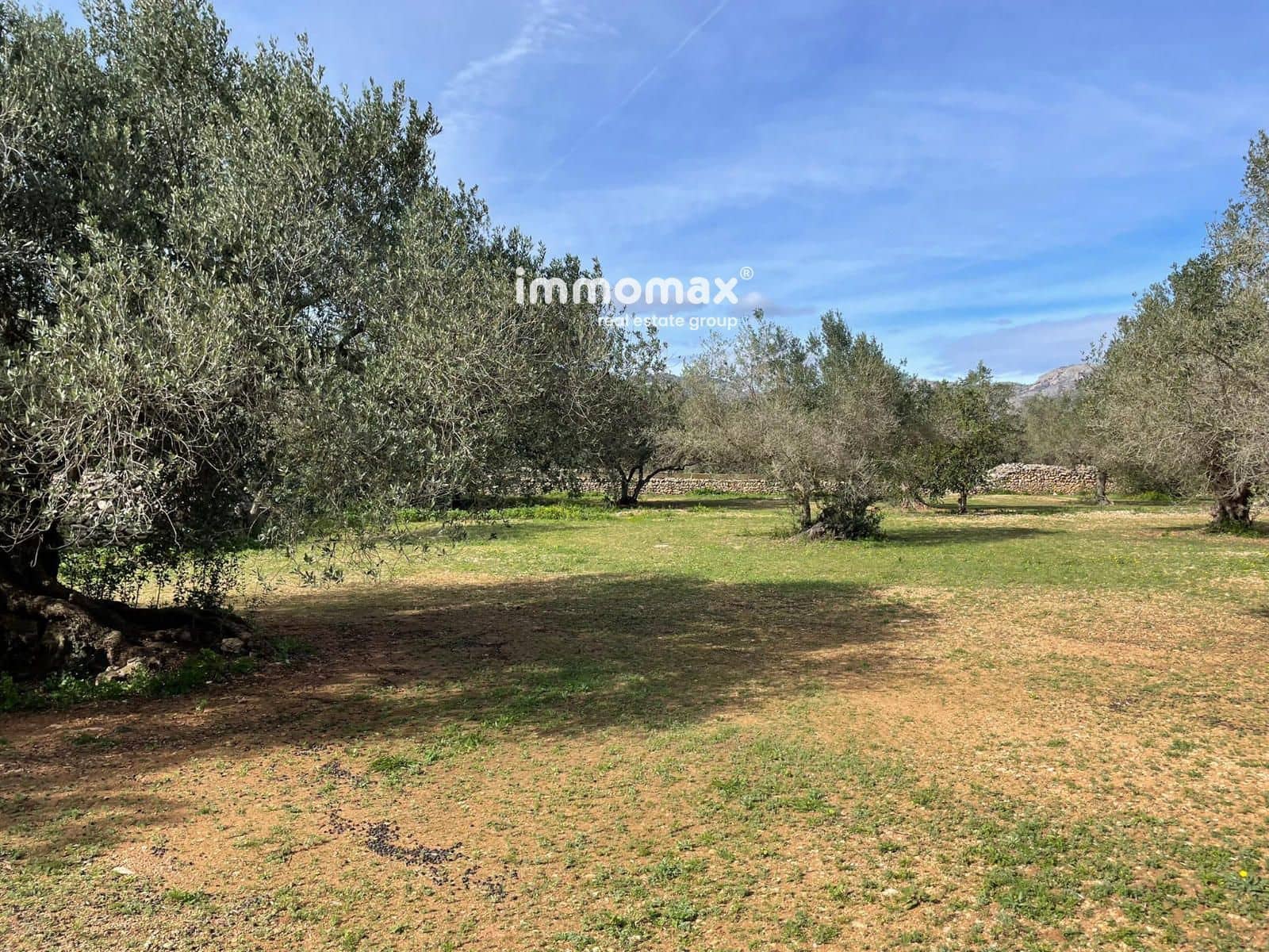 Grunde uden byggetilladelser til salg i Aldover - € 51.000 (Ref: 9609964)