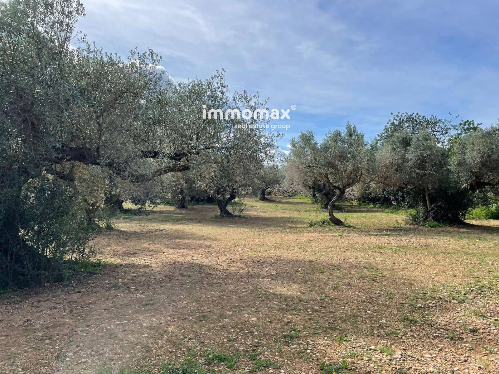 Grunde uden byggetilladelser til salg i Aldover - € 51.000 (Ref: 9609964)