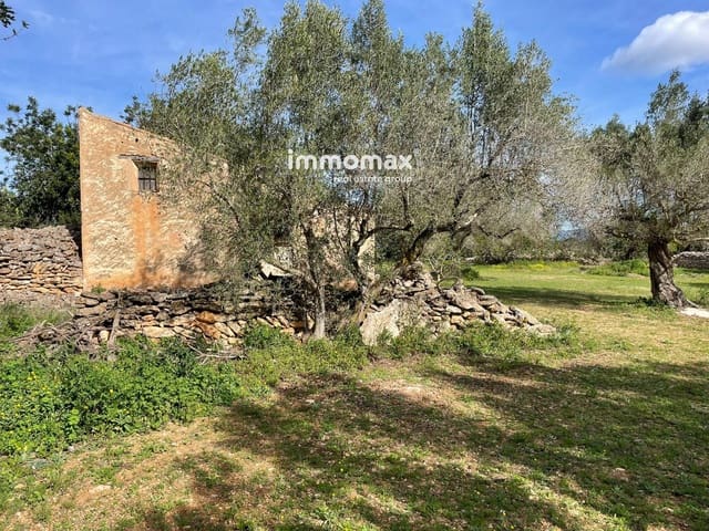 Terre non Aménagée à vendre à Aldover - 51 000 € (Ref: 9609964)