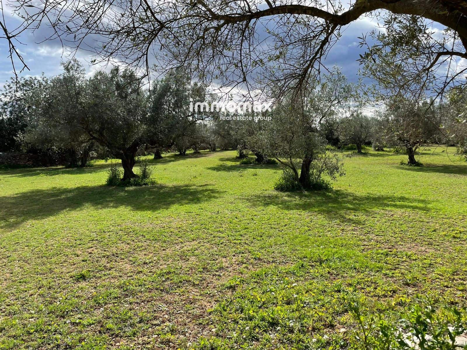 Grunde uden byggetilladelser til salg i Aldover - € 51.000 (Ref: 9609964)