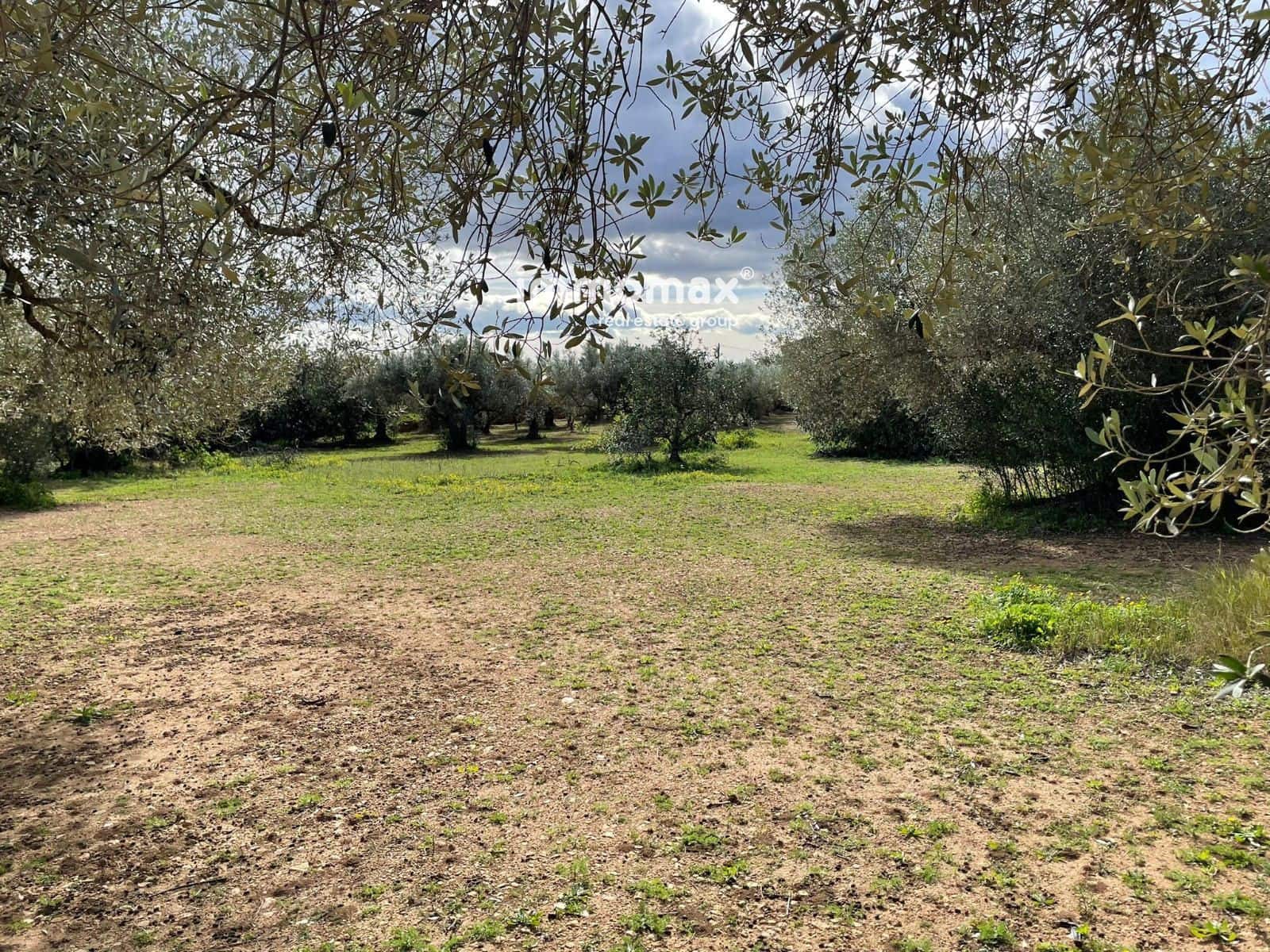 Grunde uden byggetilladelser til salg i Aldover - € 51.000 (Ref: 9609964)