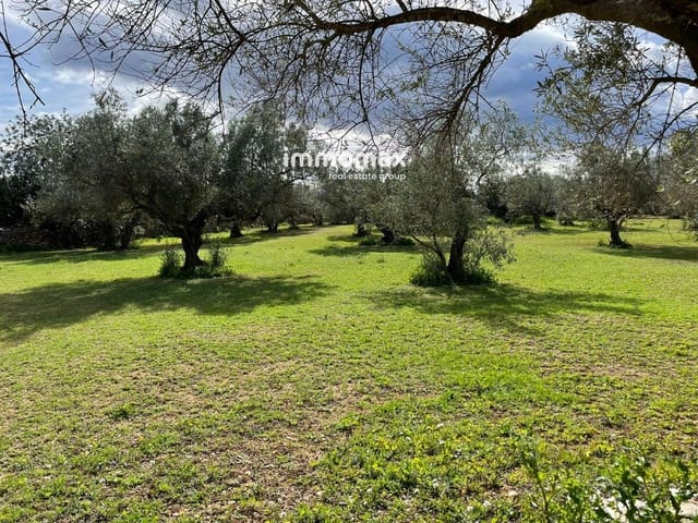 Terre non Aménagée à vendre à Aldover - 51 000 € (Ref: 9609964)