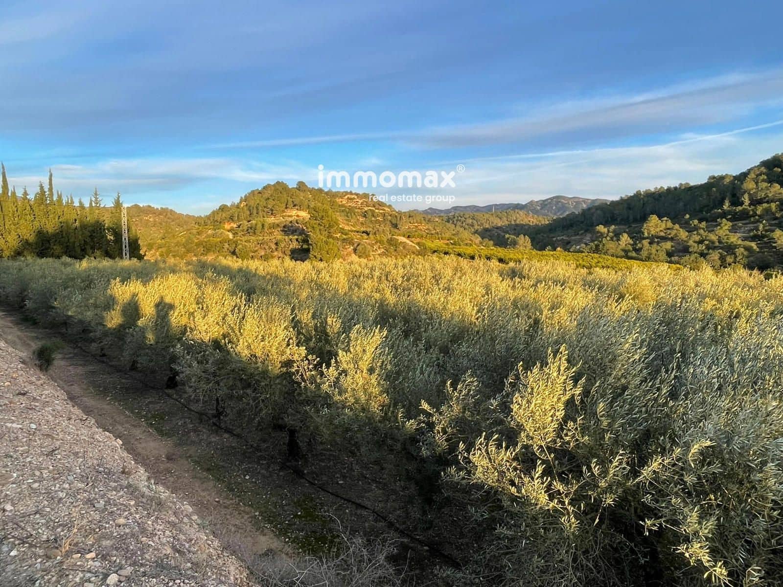 Undeveloped Land for sale in Bitem - € 150,000 (Ref: 9641051)