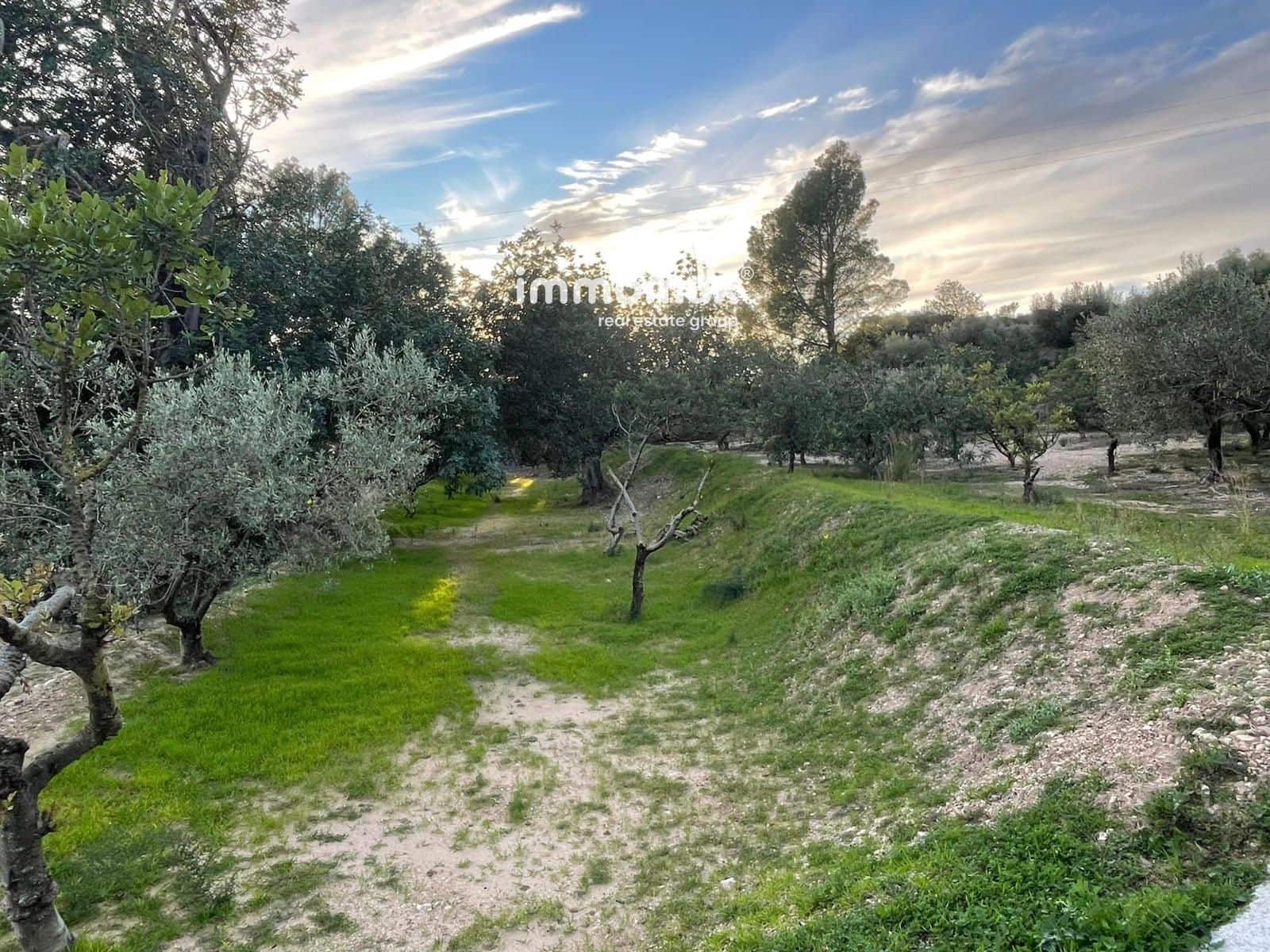 Undeveloped Land for sale in Bitem - € 150,000 (Ref: 9641051)