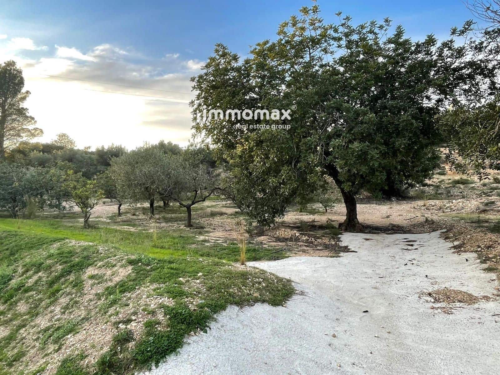 Undeveloped Land for sale in Bitem - € 150,000 (Ref: 9641051)