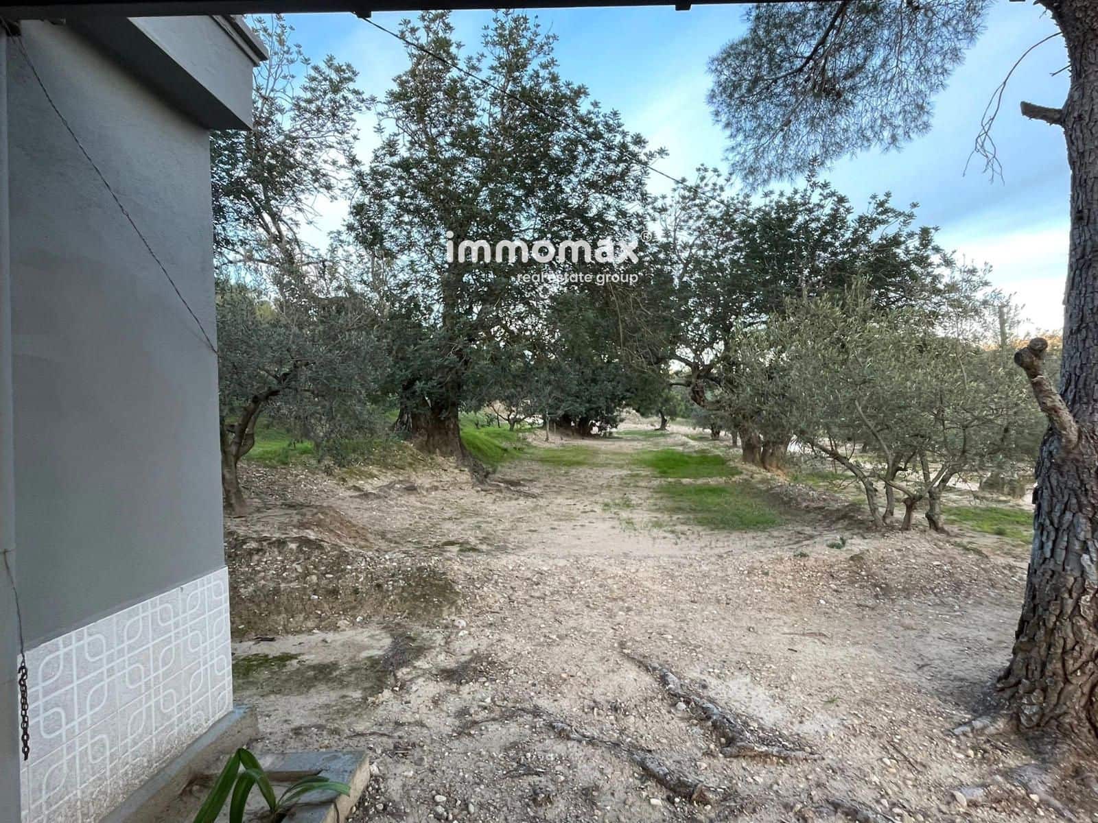 Undeveloped Land for sale in Bitem - € 150,000 (Ref: 9641051)