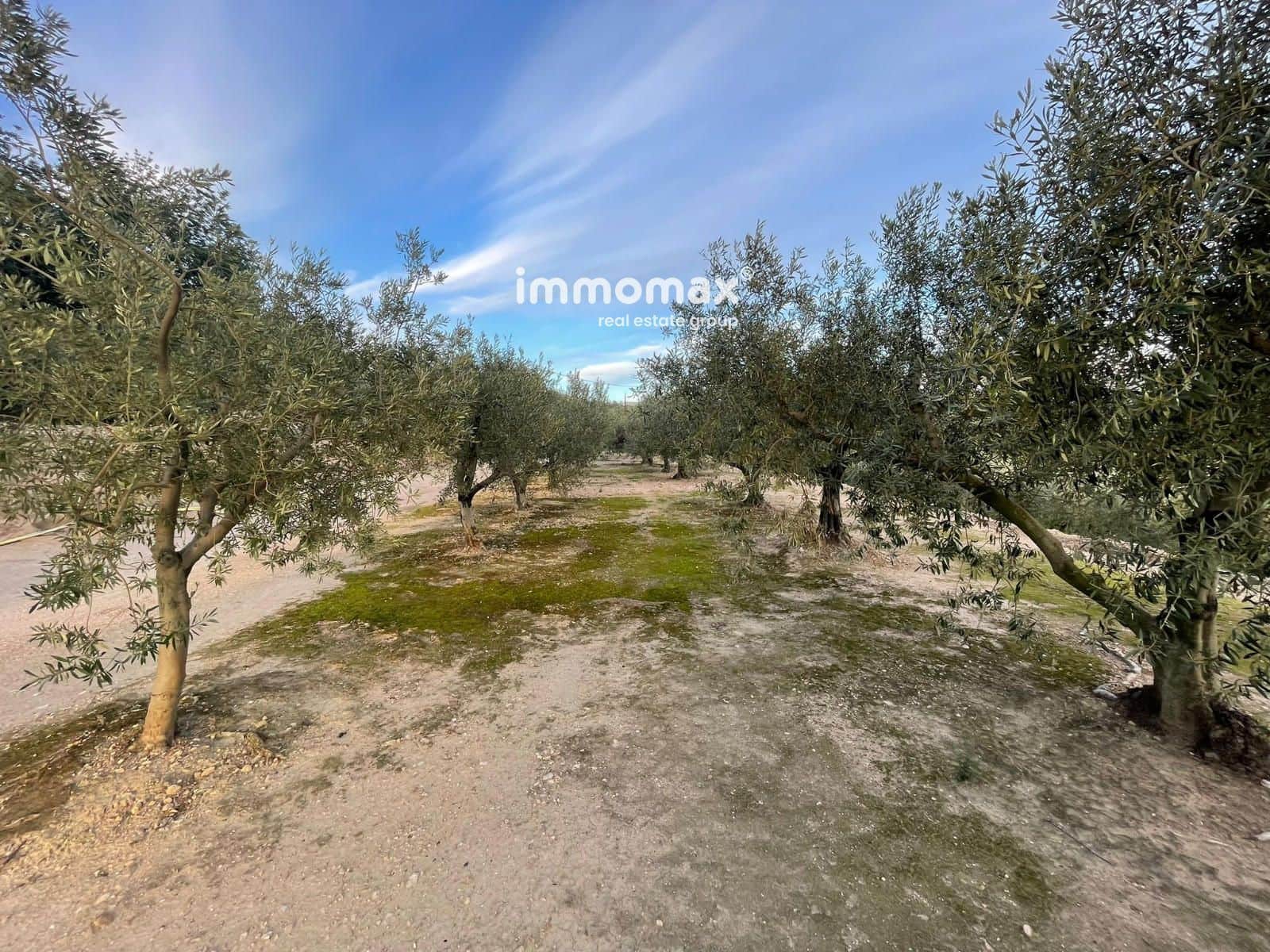 Undeveloped Land for sale in Bitem - € 150,000 (Ref: 9641051)
