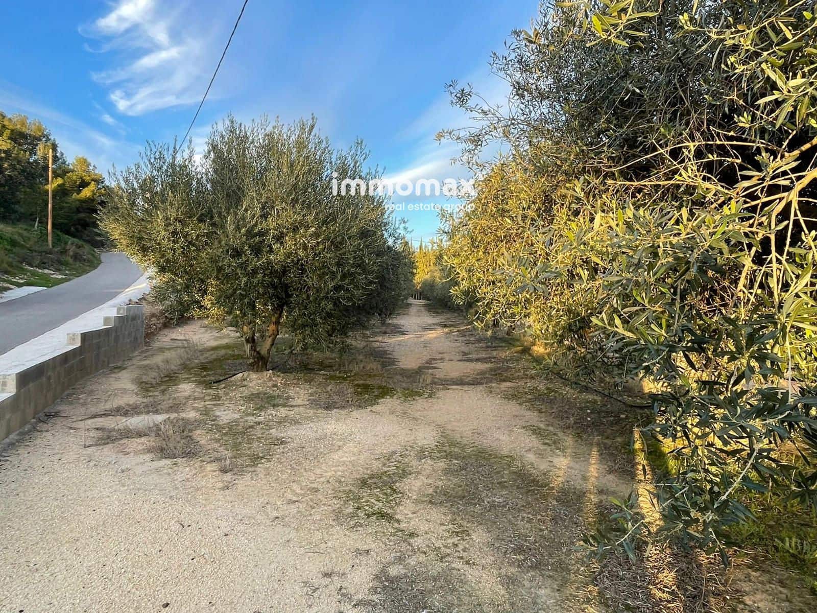 Undeveloped Land for sale in Bitem - € 150,000 (Ref: 9641051)
