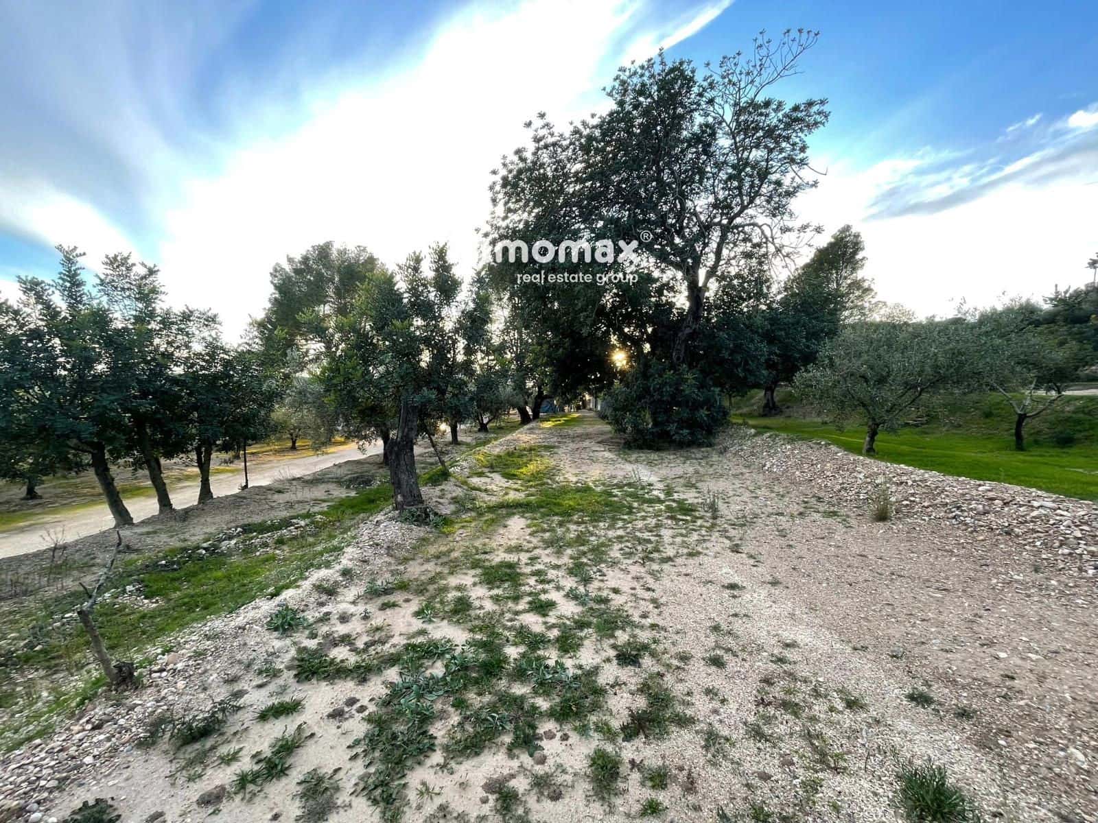 Undeveloped Land for sale in Bitem - € 150,000 (Ref: 9641051)