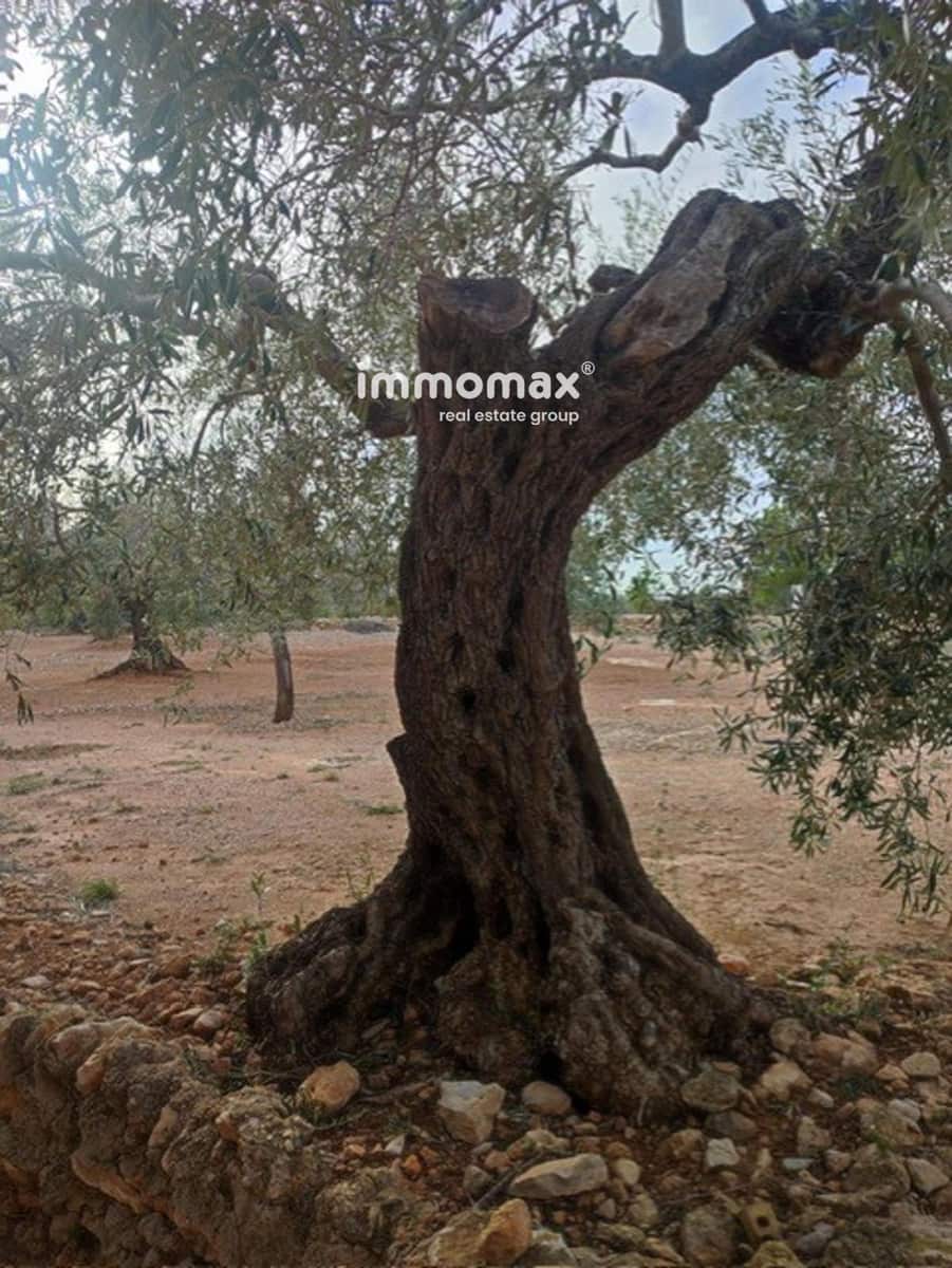 Grunde uden byggetilladelser til salg i L'Ampolla - € 138.000 (Ref: 9705893)