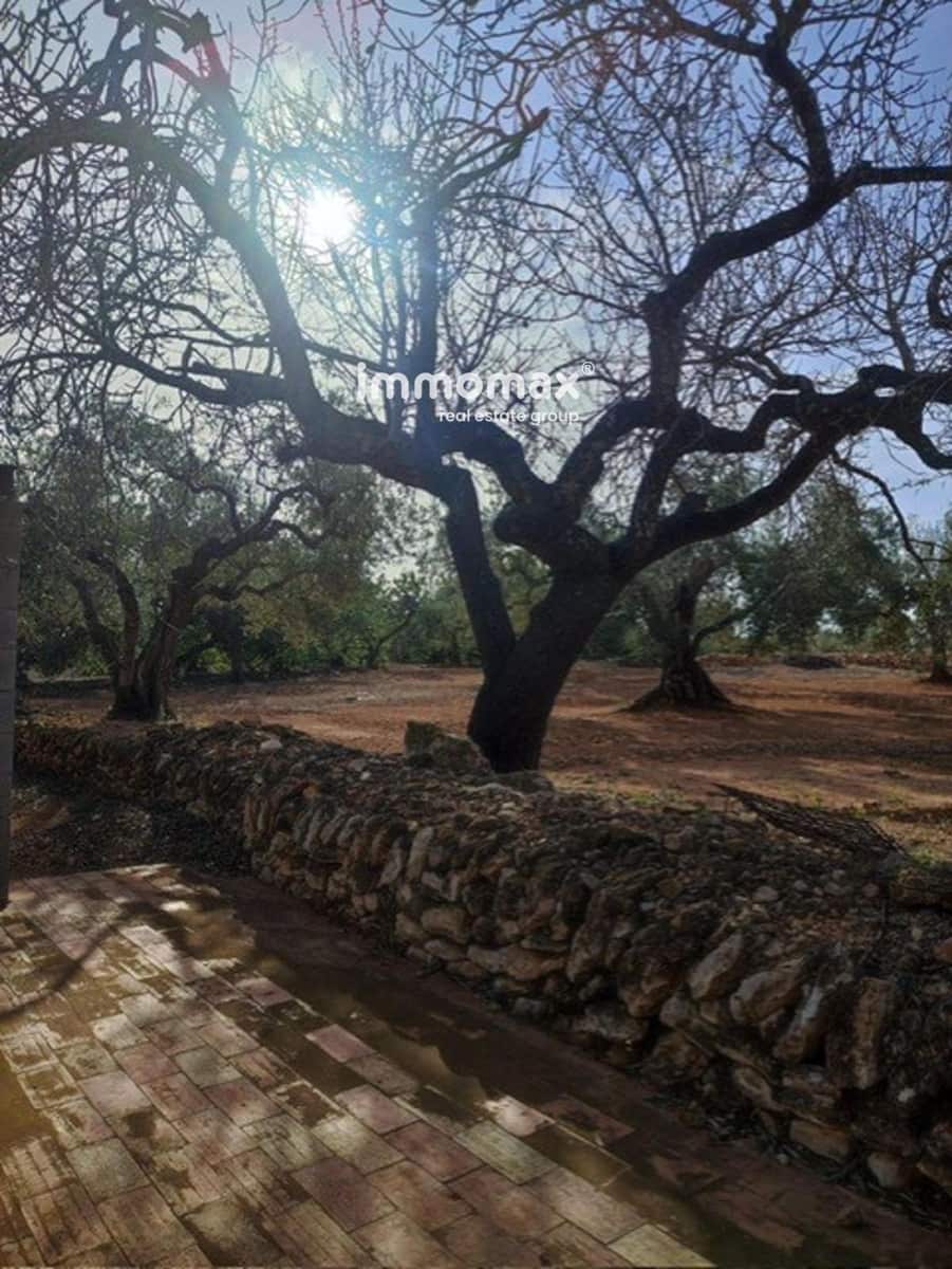 Grunde uden byggetilladelser til salg i L'Ampolla - € 138.000 (Ref: 9705893)