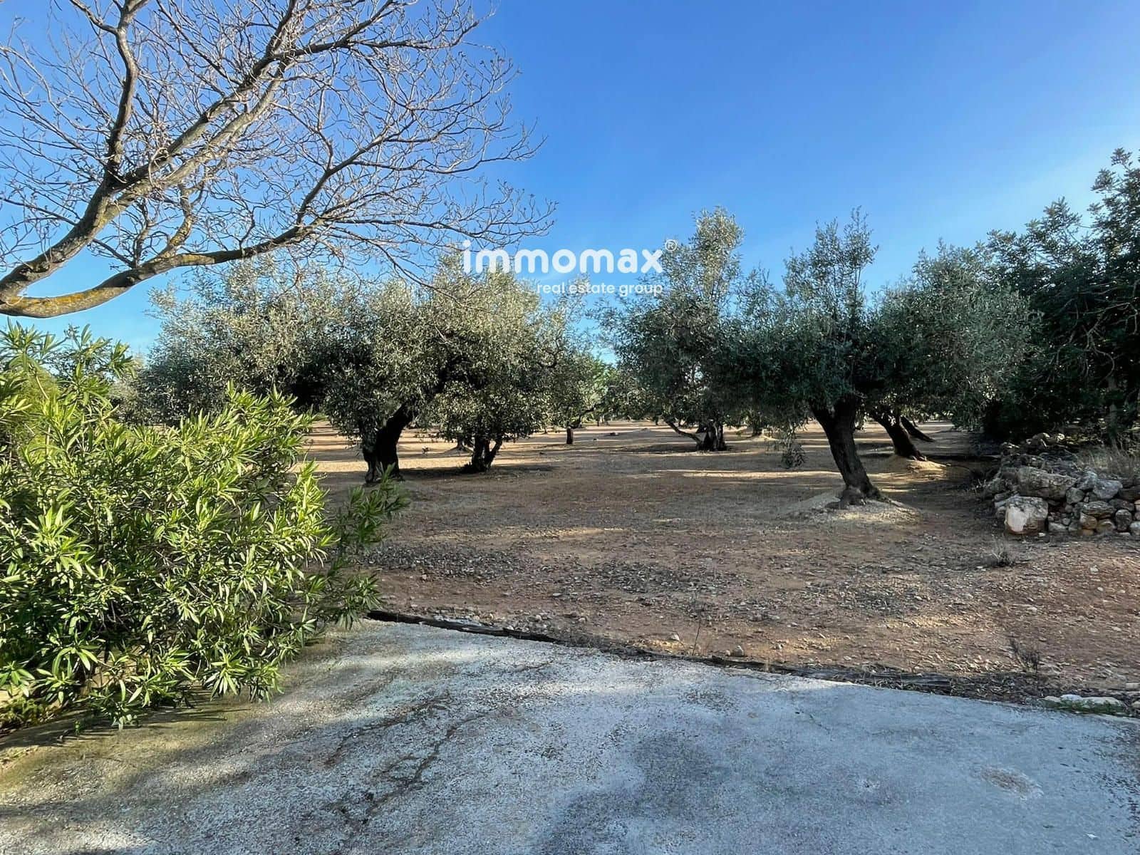 Undeveloped Land for sale in Xerta - € 140,000 (Ref: 9713516)
