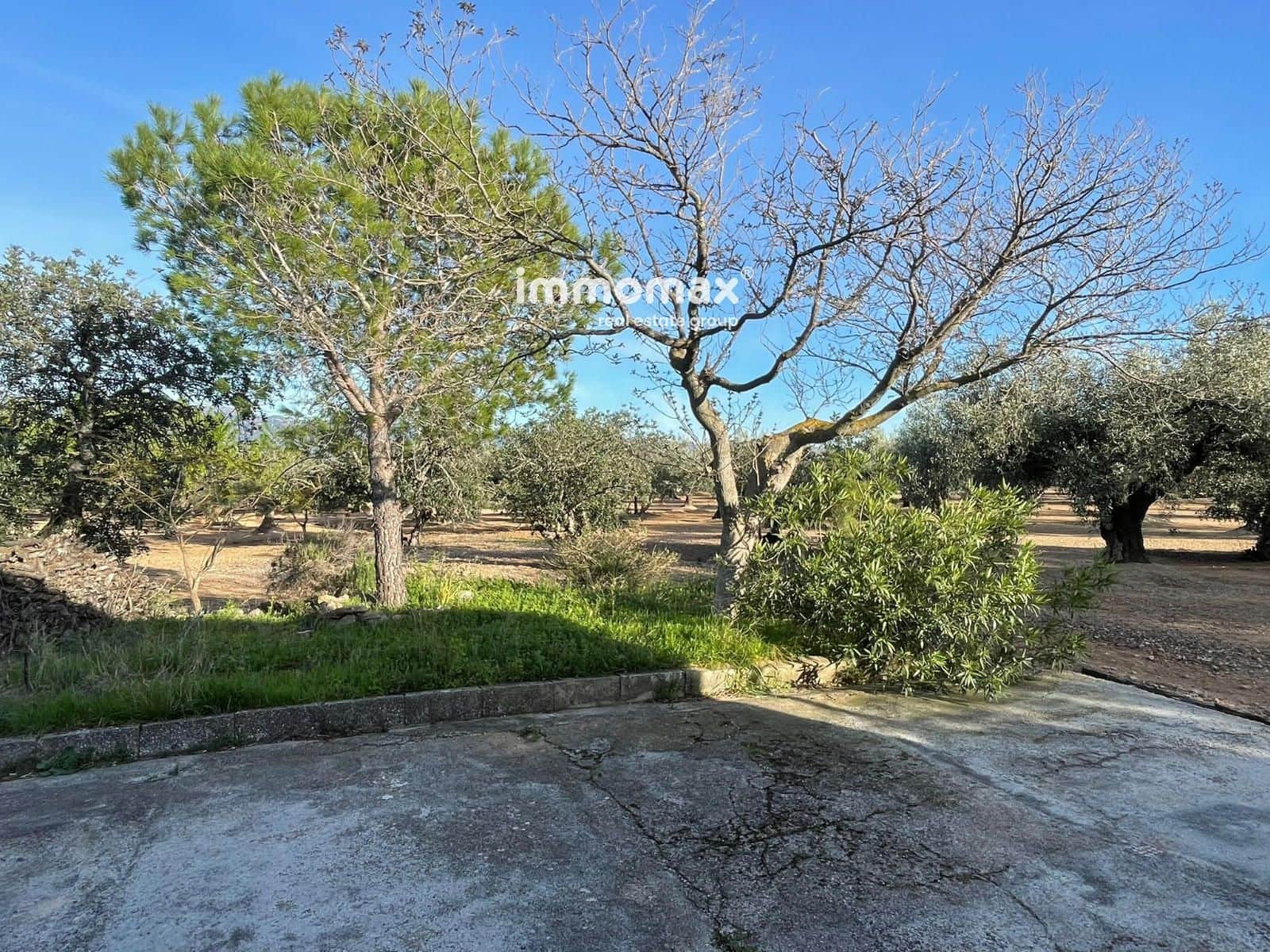 Undeveloped Land for sale in Xerta - € 140,000 (Ref: 9713516)