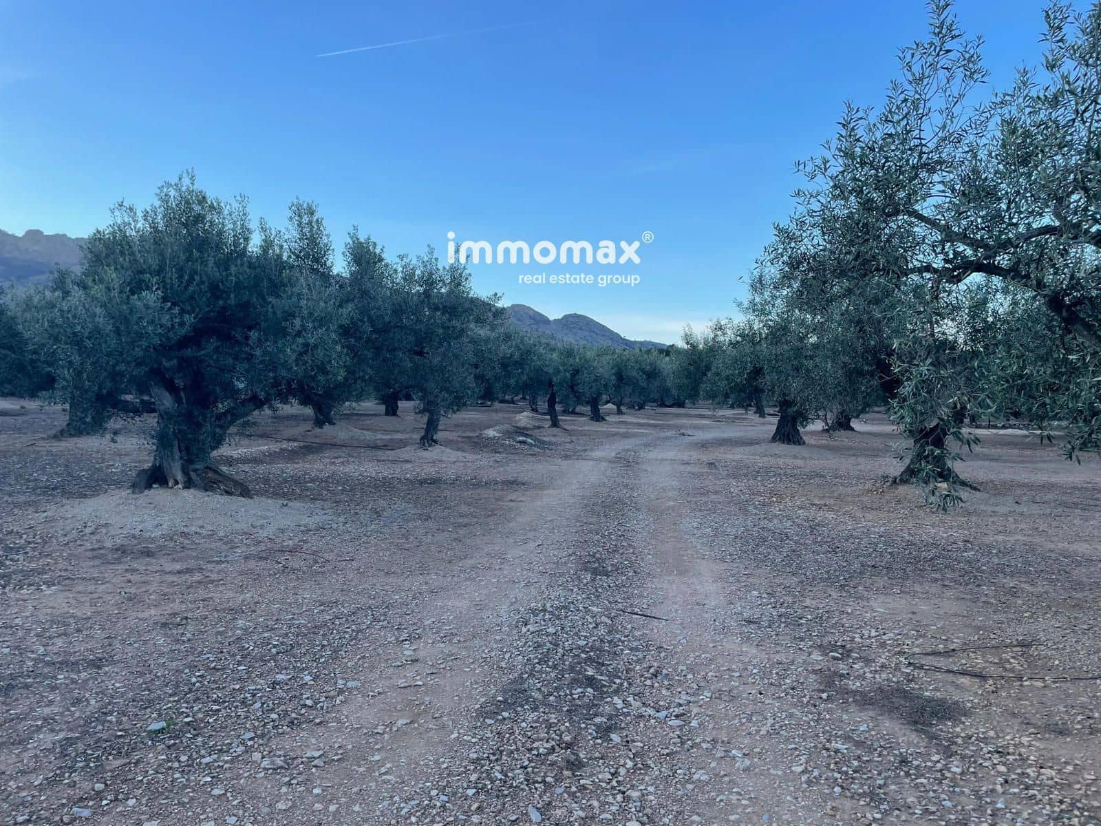 Undeveloped Land for sale in Xerta - € 140,000 (Ref: 9713516)