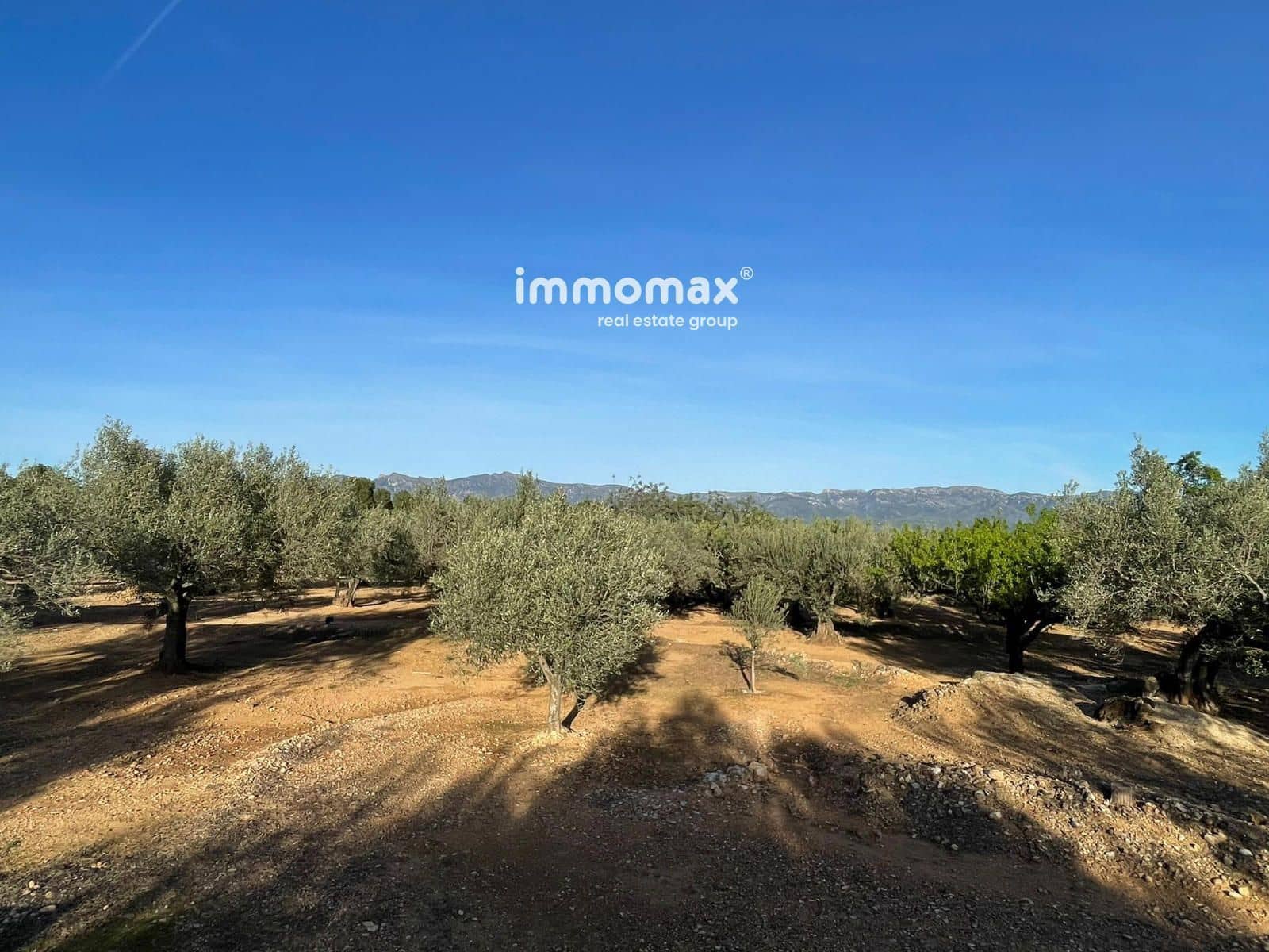 Undeveloped Land for sale in Xerta - € 140,000 (Ref: 9713516)
