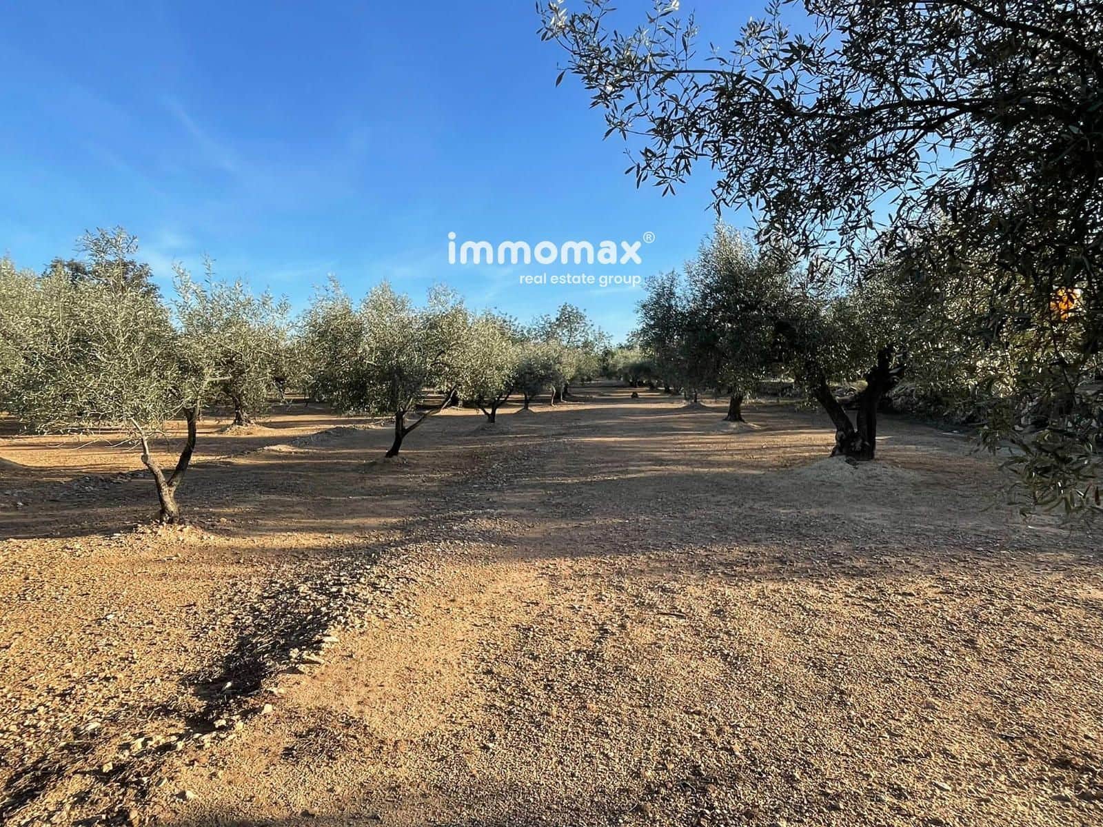 Undeveloped Land for sale in Xerta - € 140,000 (Ref: 9713516)