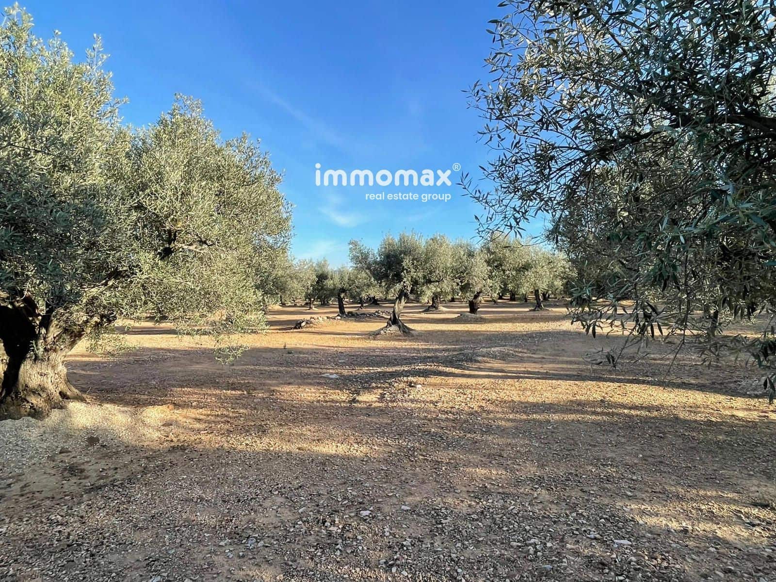 Undeveloped Land for sale in Xerta - € 140,000 (Ref: 9713516)