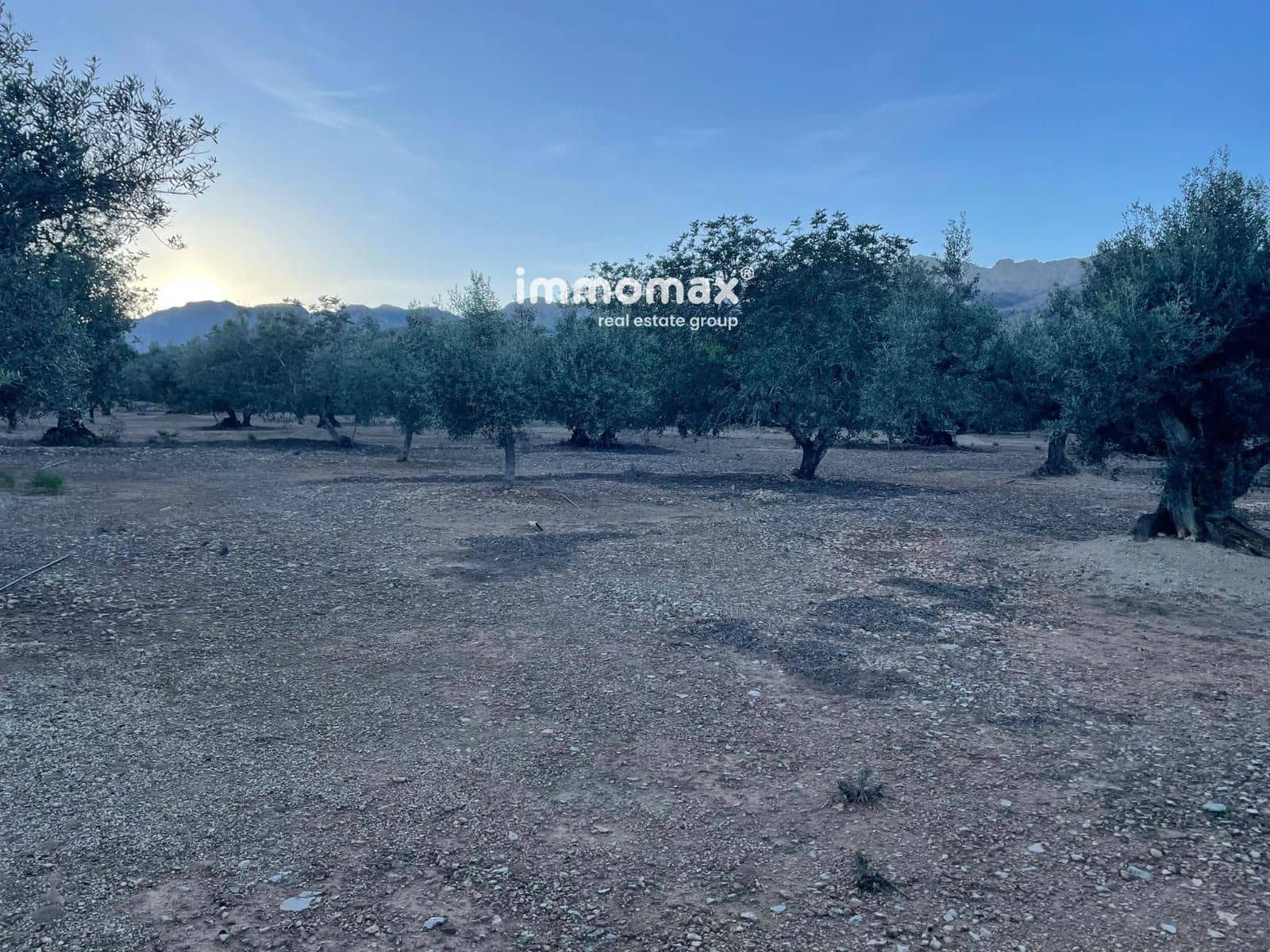 Undeveloped Land for sale in Xerta - € 140,000 (Ref: 9713516)