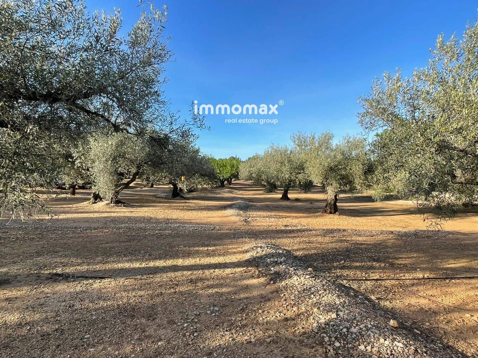 Undeveloped Land for sale in Xerta - € 140,000 (Ref: 9713516)