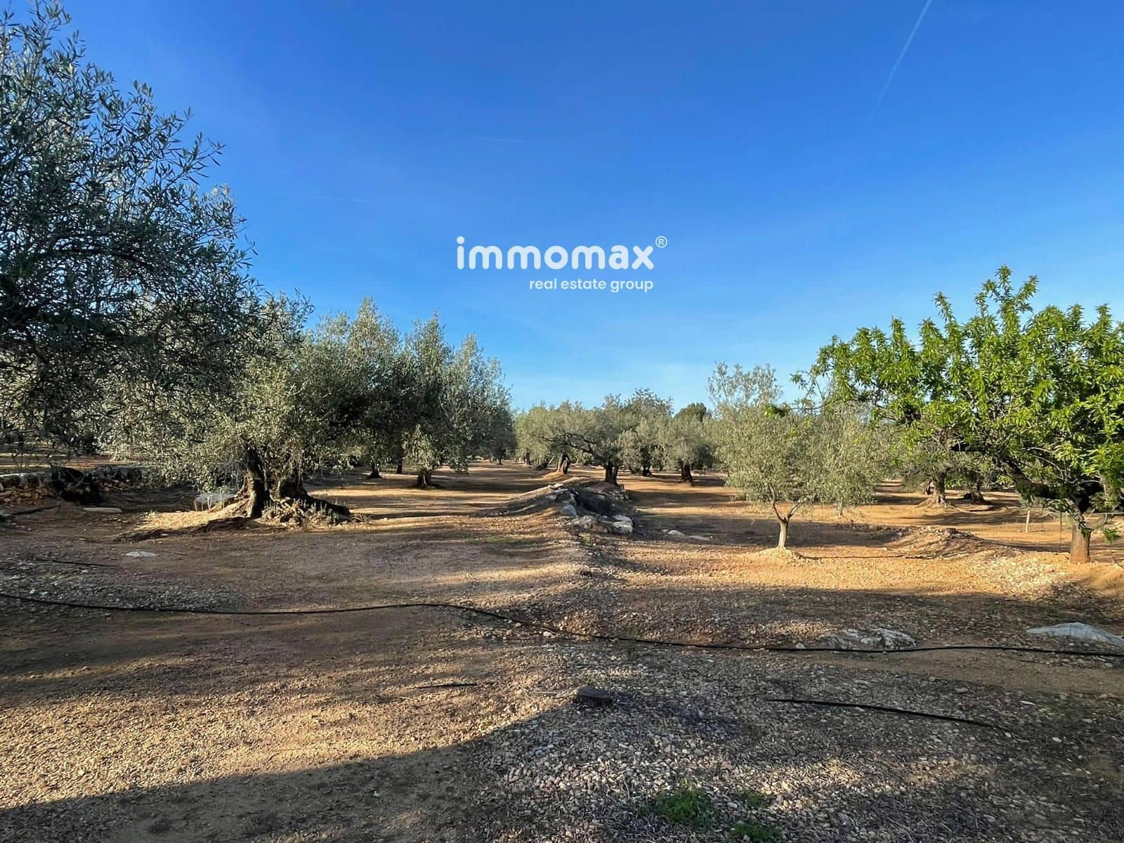 Undeveloped Land for sale in Xerta - € 140,000 (Ref: 9713516)