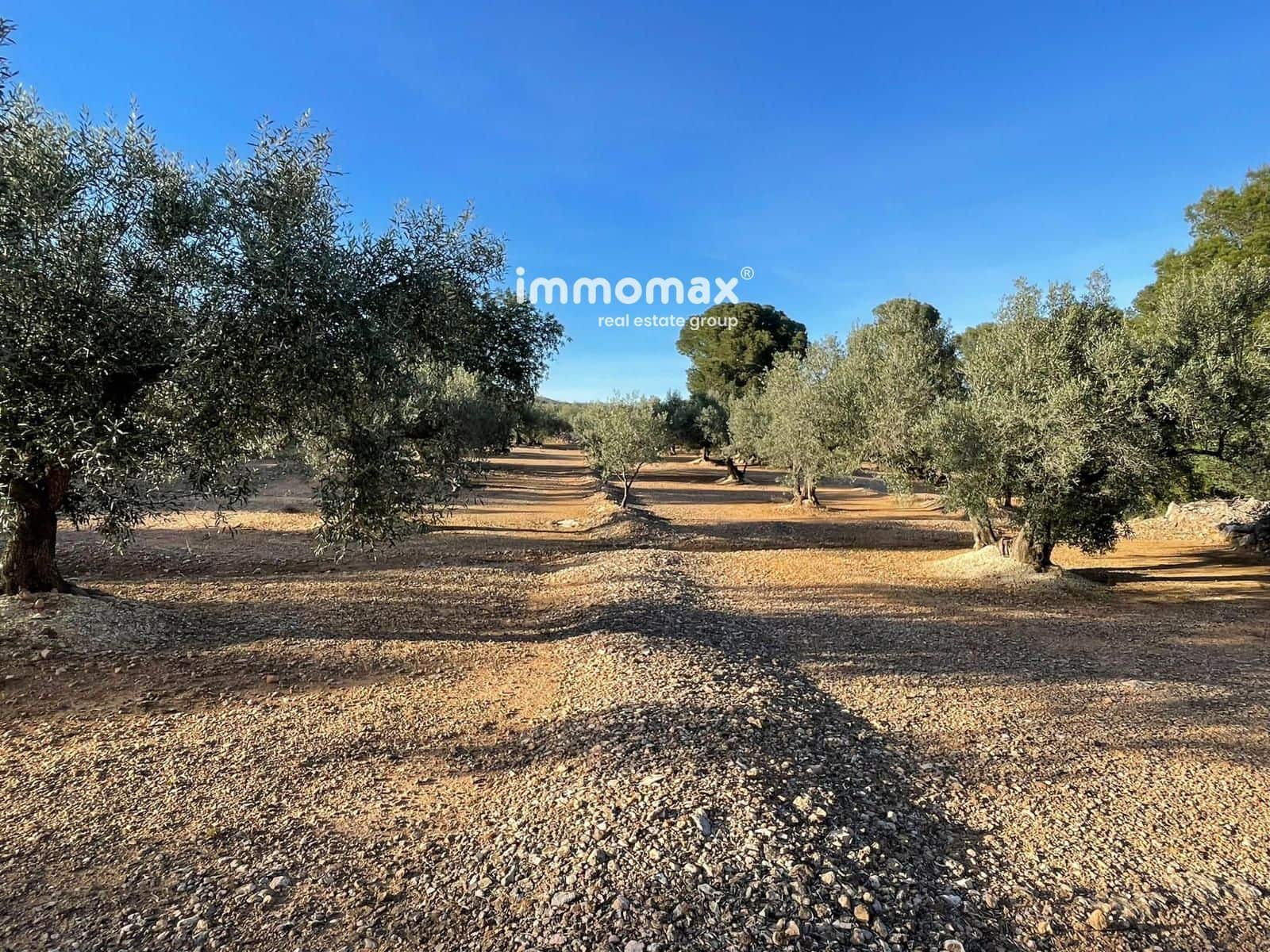 Undeveloped Land for sale in Xerta - € 140,000 (Ref: 9713516)