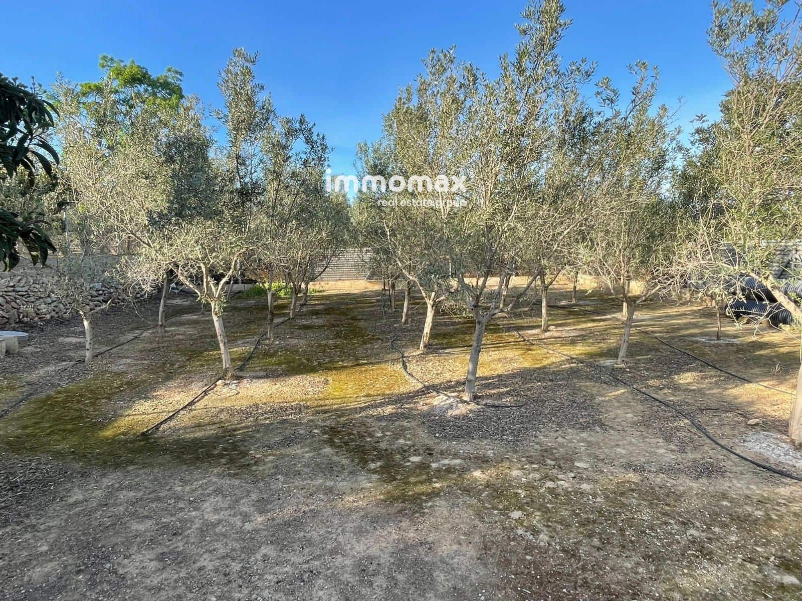 Undeveloped Land for sale in Xerta - € 140,000 (Ref: 9713516)