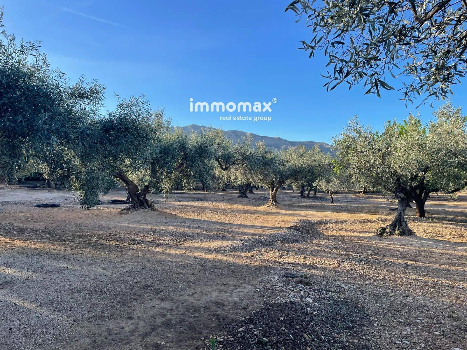 Undeveloped Land for sale in Xerta - € 140,000 (Ref: 9713516)