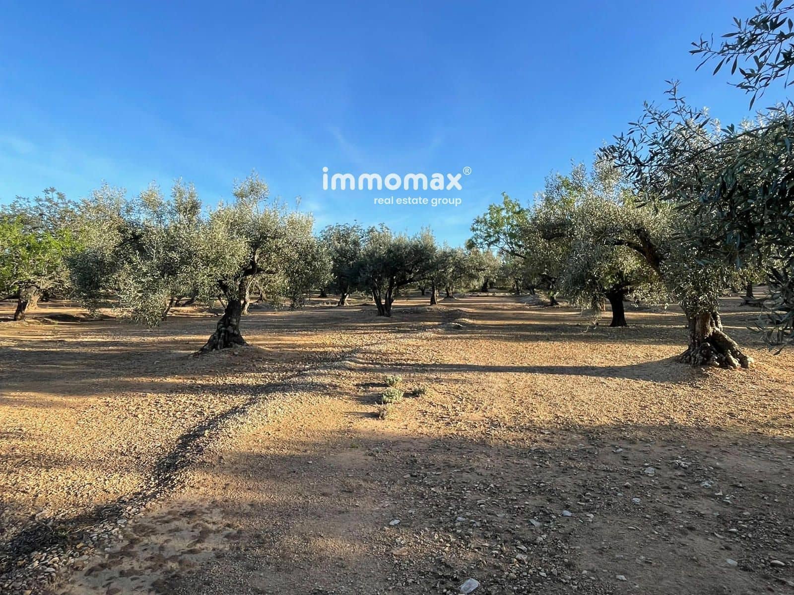 Undeveloped Land for sale in Xerta - € 140,000 (Ref: 9713516)