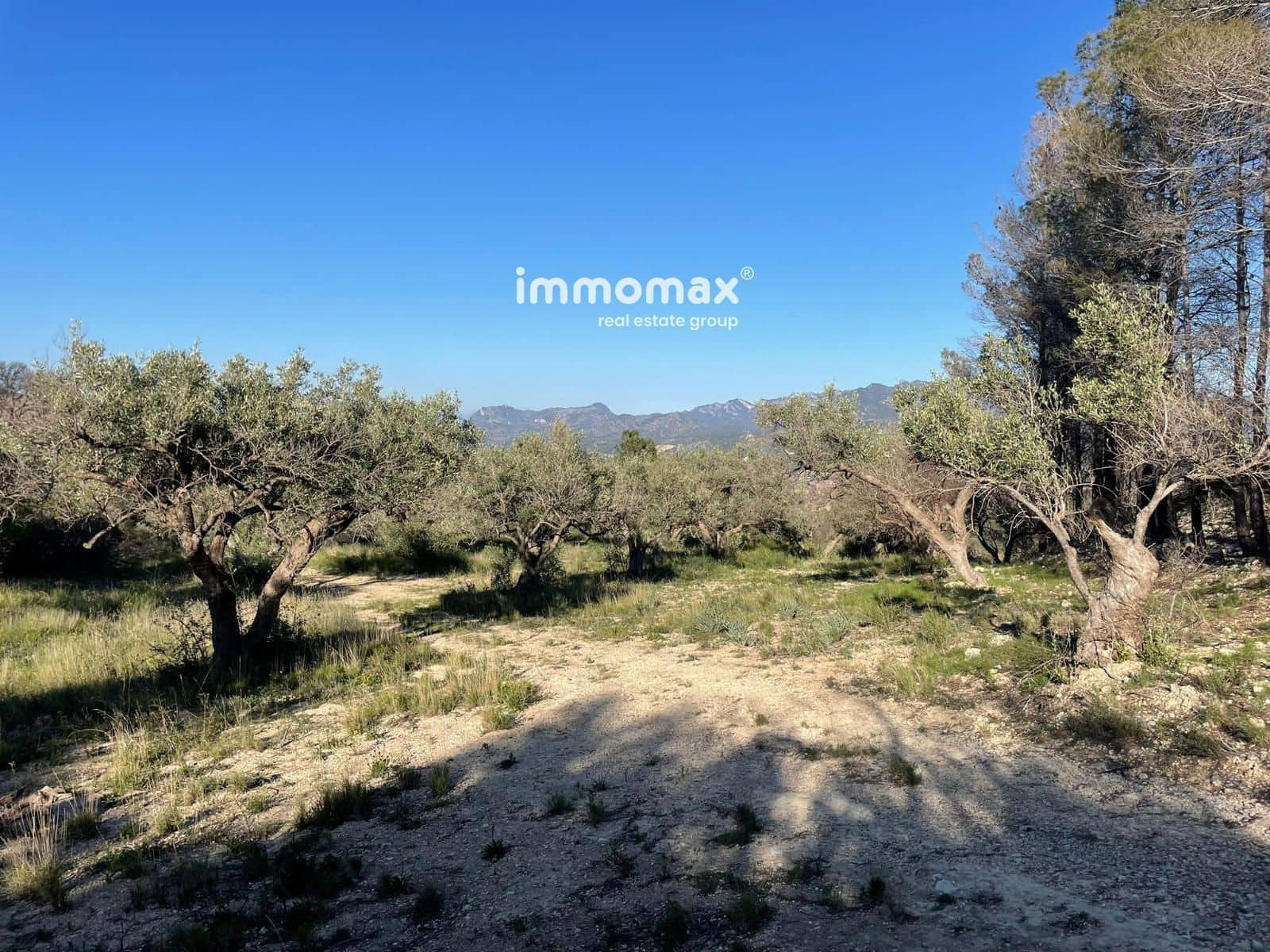 Rakentamaton maa myytävänä paikassa Xerta - 30 000 € (Ref: 9753591)