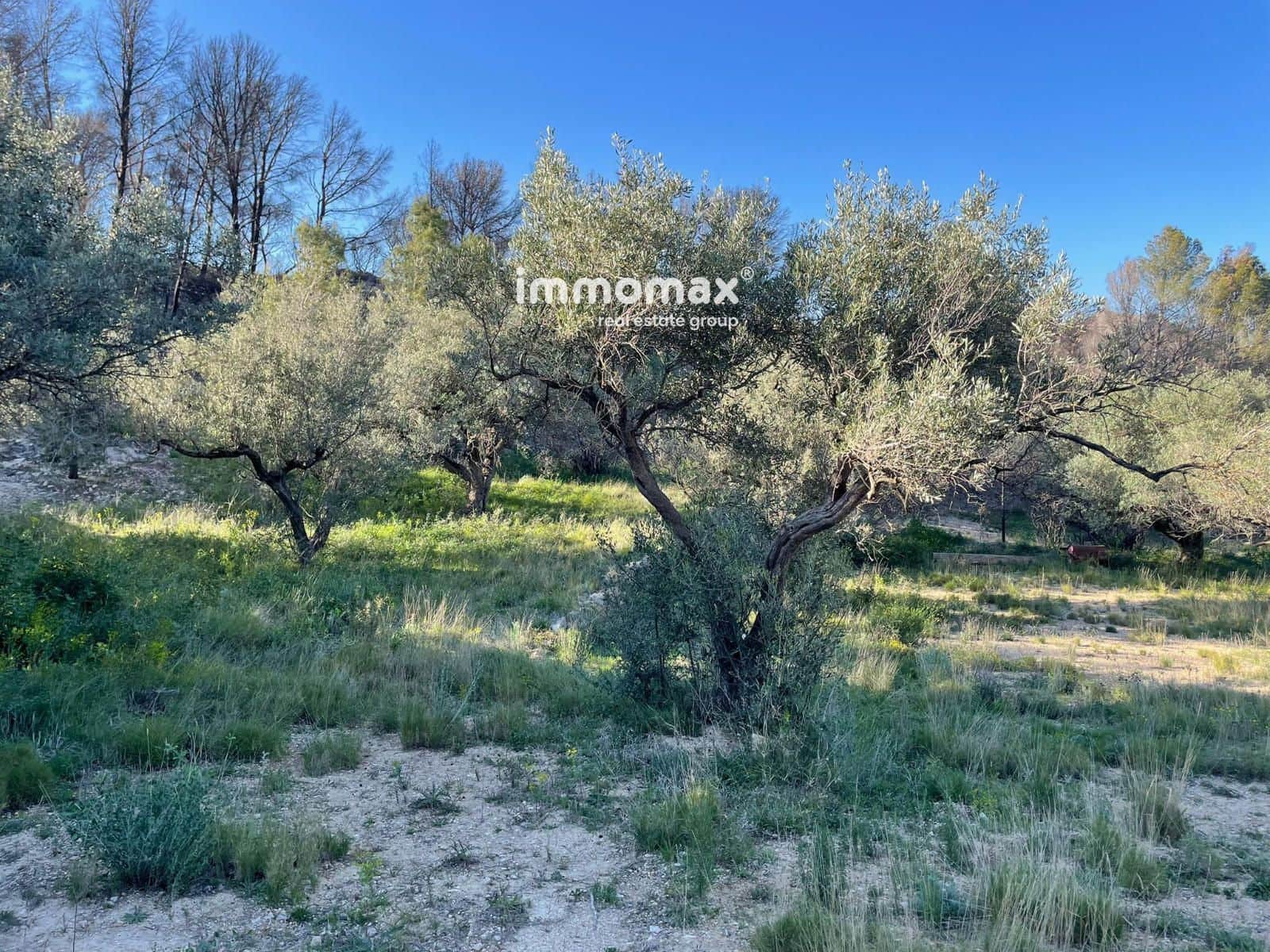 Rakentamaton maa myytävänä paikassa Xerta - 30 000 € (Ref: 9753591)