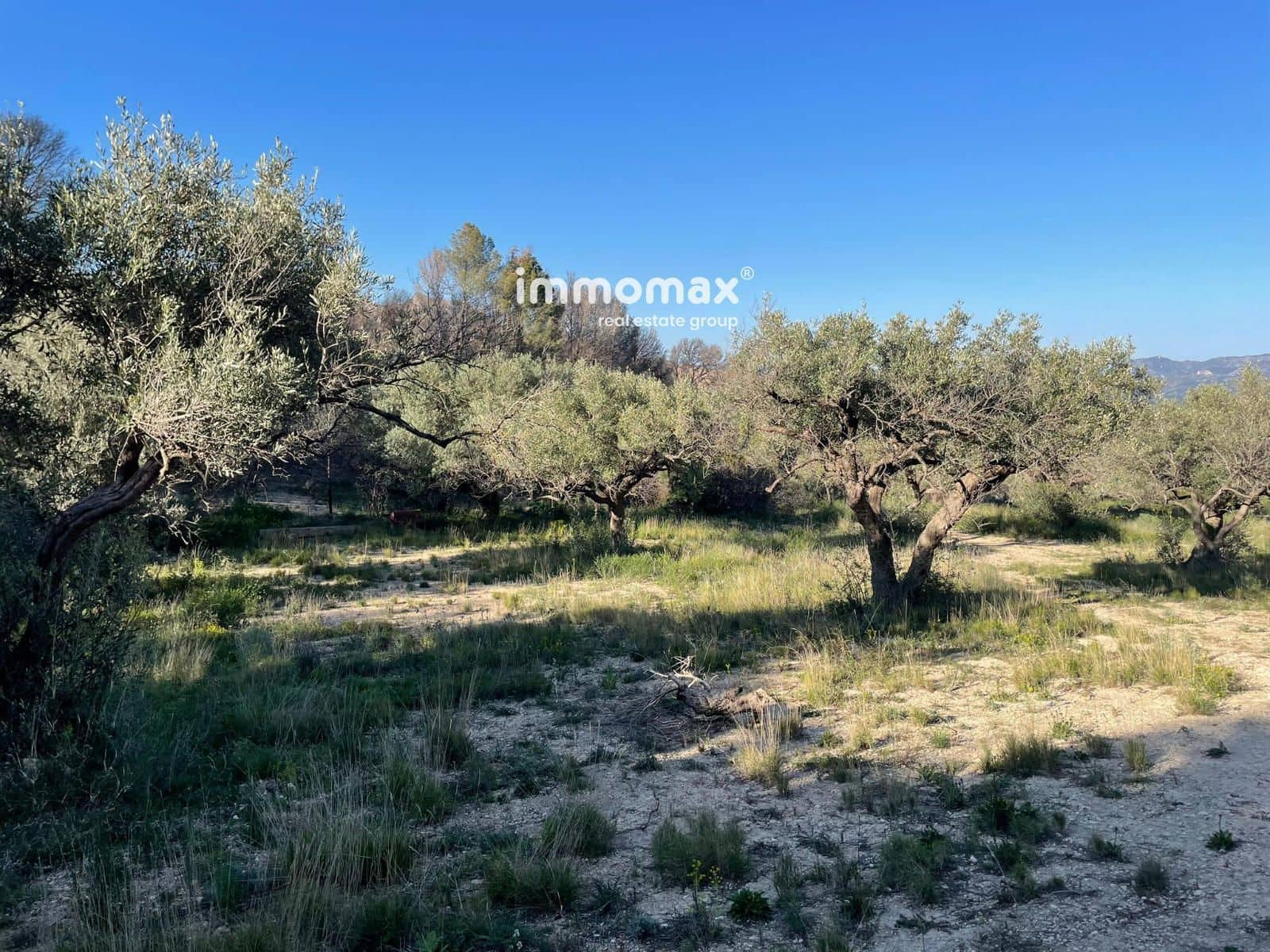 Rakentamaton maa myytävänä paikassa Xerta - 30 000 € (Ref: 9753591)