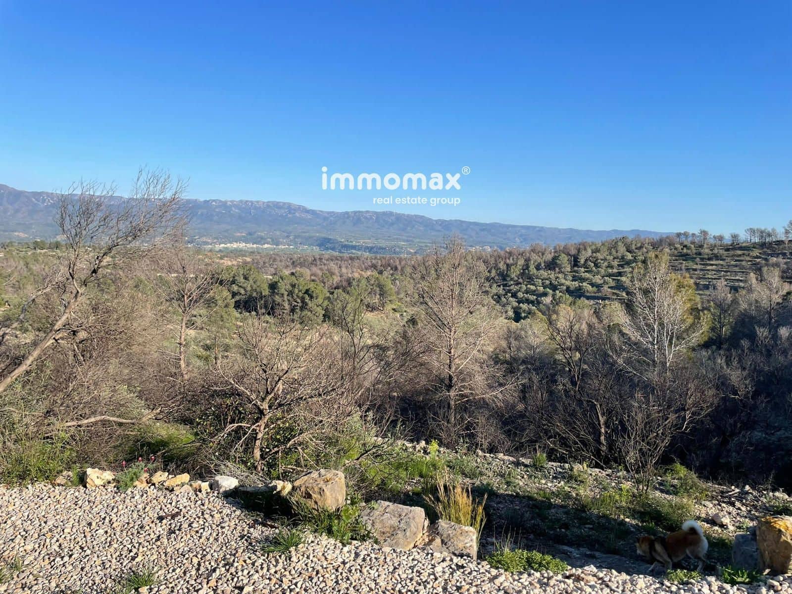 Rakentamaton maa myytävänä paikassa Xerta - 30 000 € (Ref: 9753591)