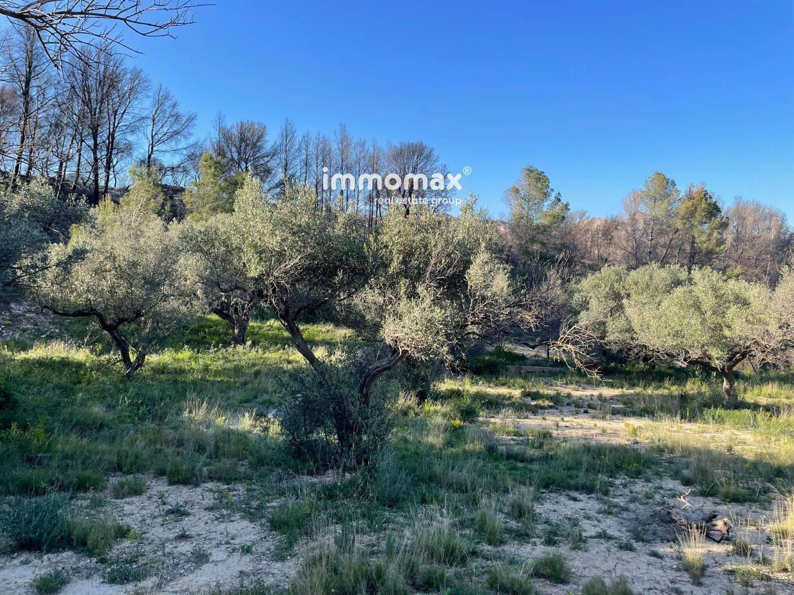 Rakentamaton maa myytävänä paikassa Xerta - 30 000 € (Ref: 9753591)