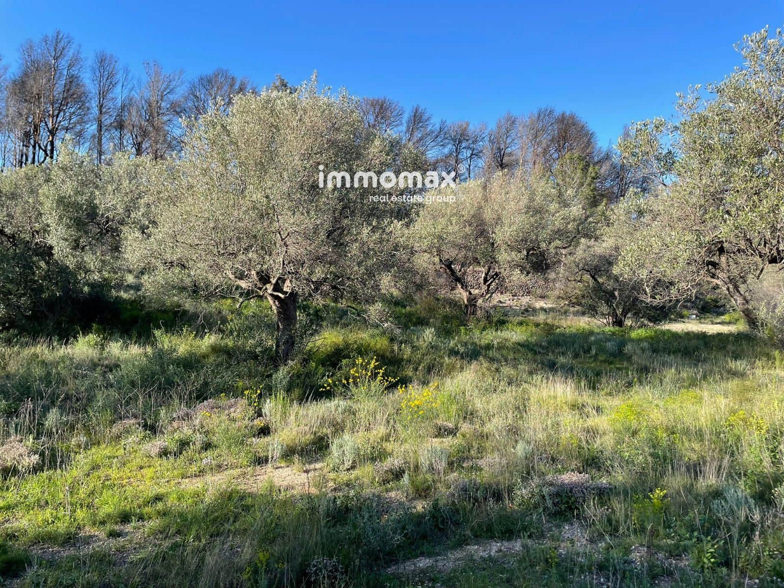 Rakentamaton maa myytävänä paikassa Xerta - 30 000 € (Ref: 9753591)