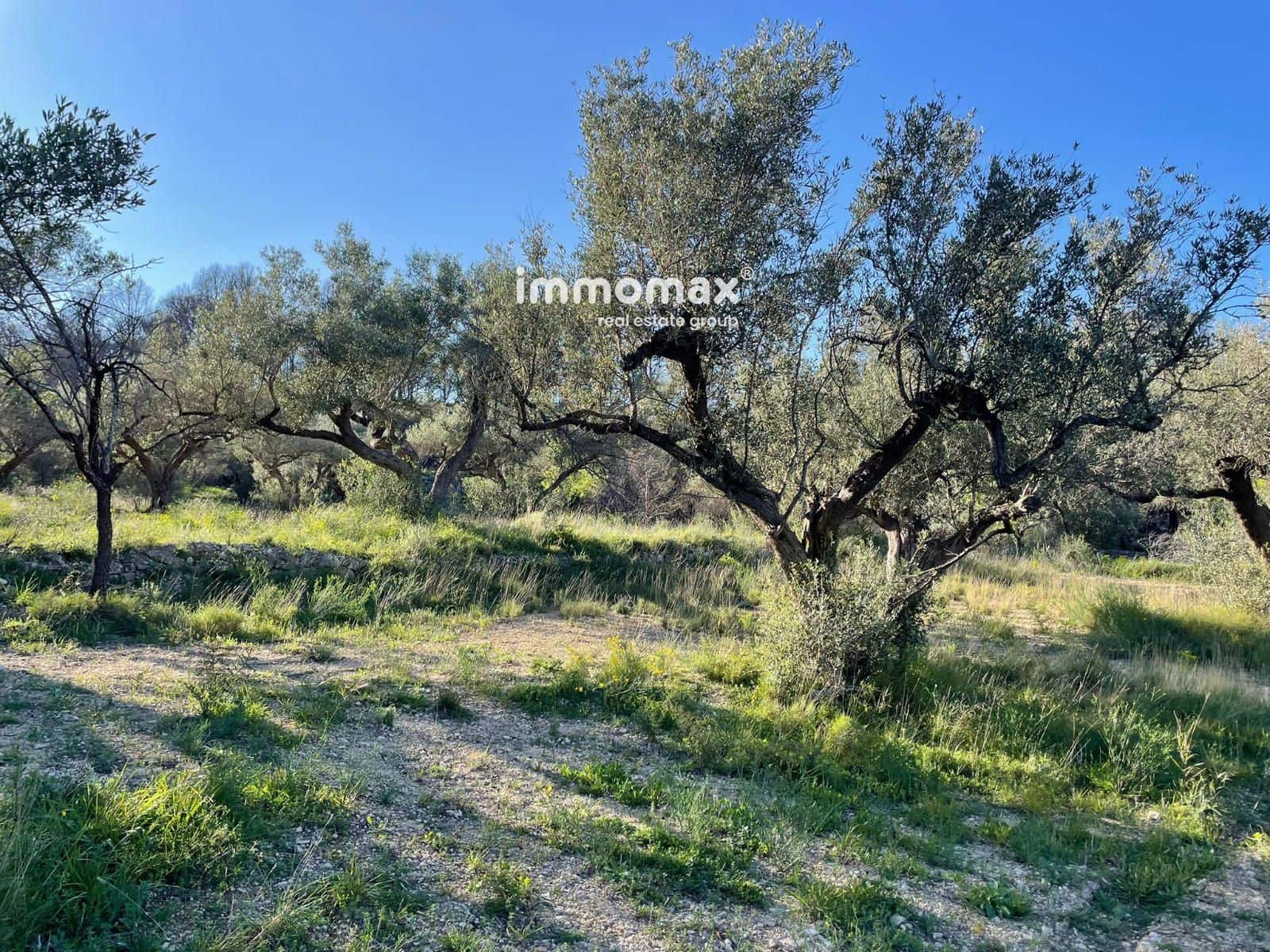 Rakentamaton maa myytävänä paikassa Xerta - 30 000 € (Ref: 9753591)