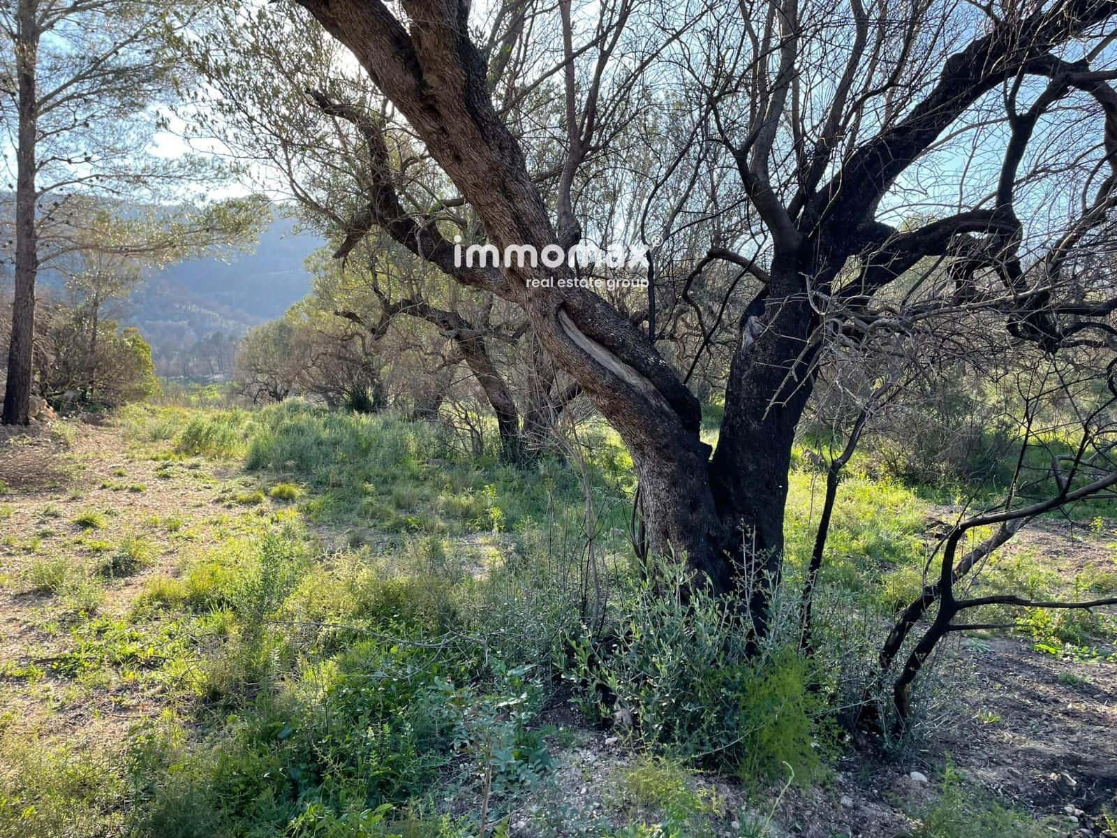 Rakentamaton maa myytävänä paikassa Xerta - 30 000 € (Ref: 9753591)