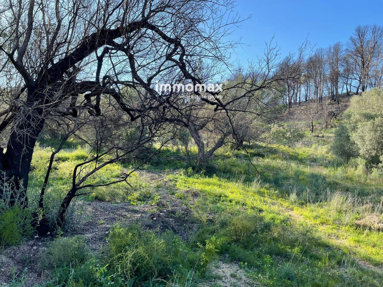 Rakentamaton maa myytävänä paikassa Xerta - 30 000 € (Ref: 9753591)