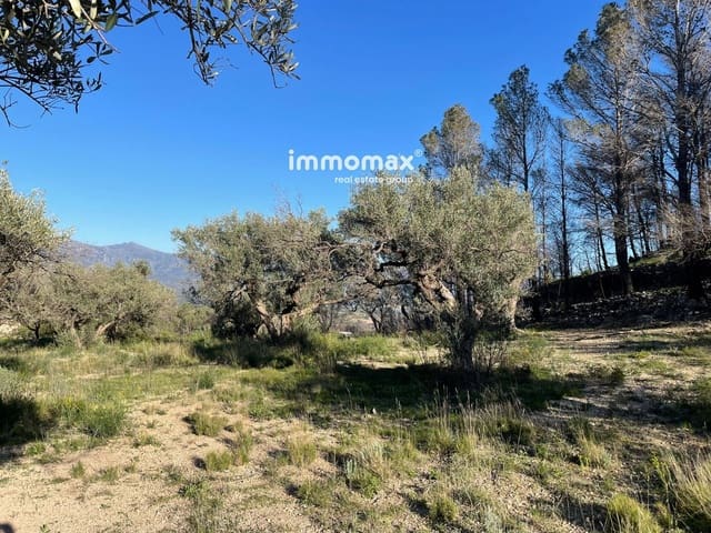 Teren niezagospodarowany na sprzedaż w Xerta - 30 000 € (Ref: 9753591)