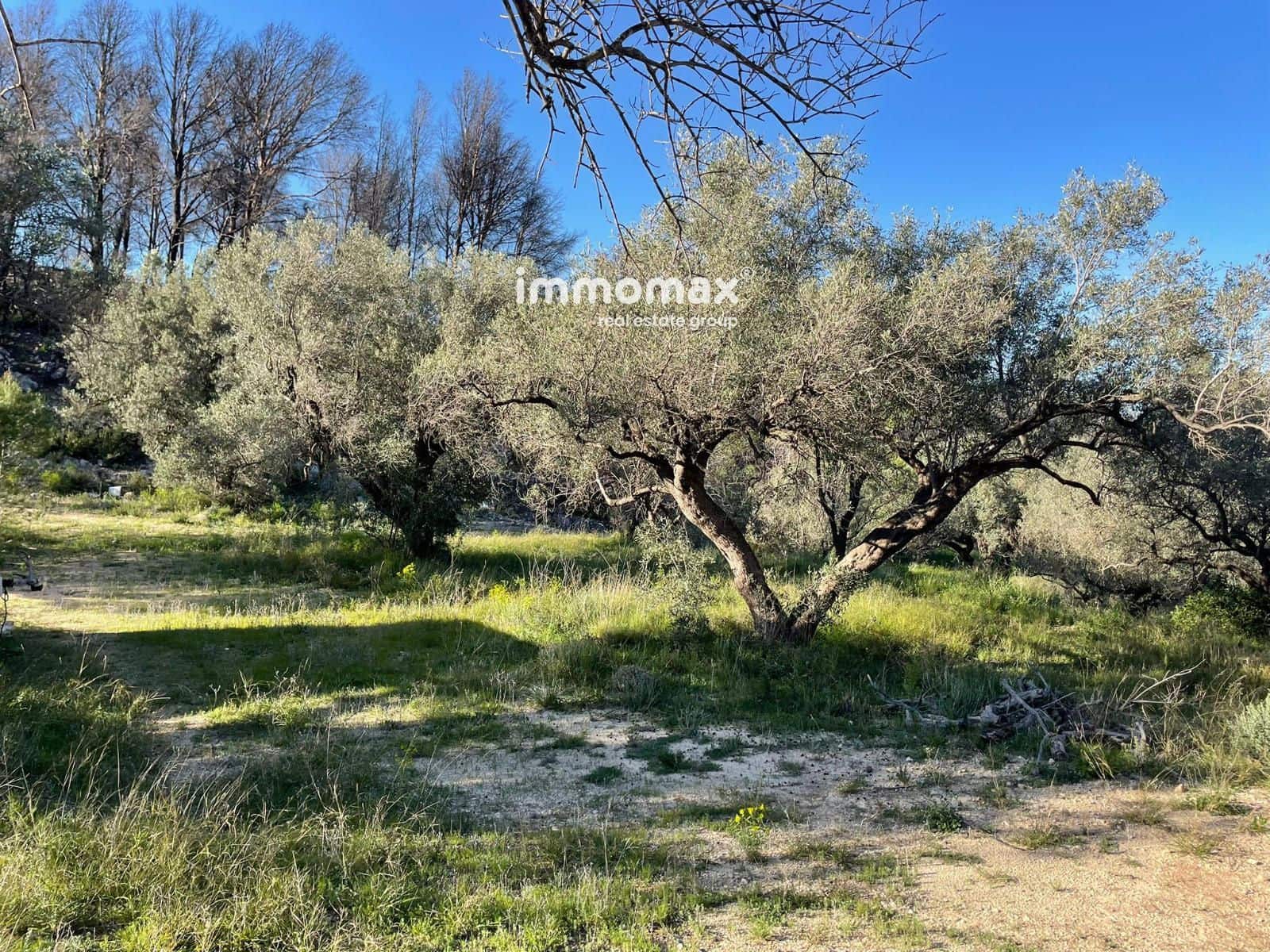 Rakentamaton maa myytävänä paikassa Xerta - 30 000 € (Ref: 9753591)