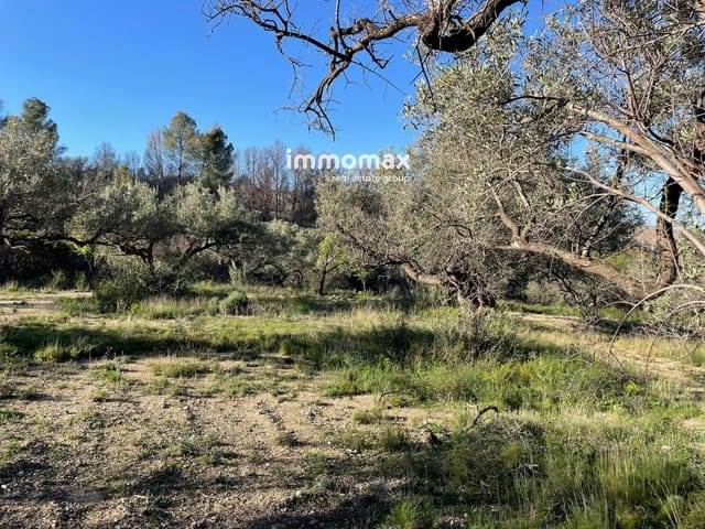 Teren niezagospodarowany na sprzedaż w Xerta - 30 000 € (Ref: 9753591)