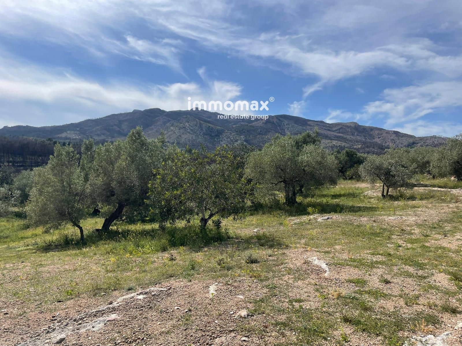 Undeveloped Land for sale in Xerta - € 22,000 (Ref: 9827674)