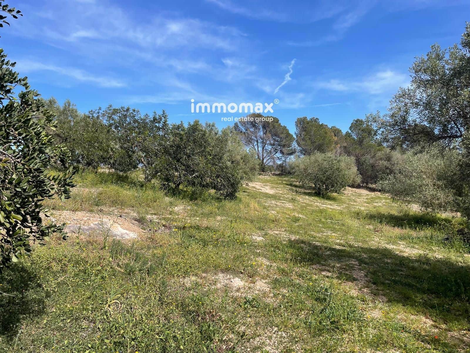 Undeveloped Land for sale in Xerta - € 22,000 (Ref: 9827674)