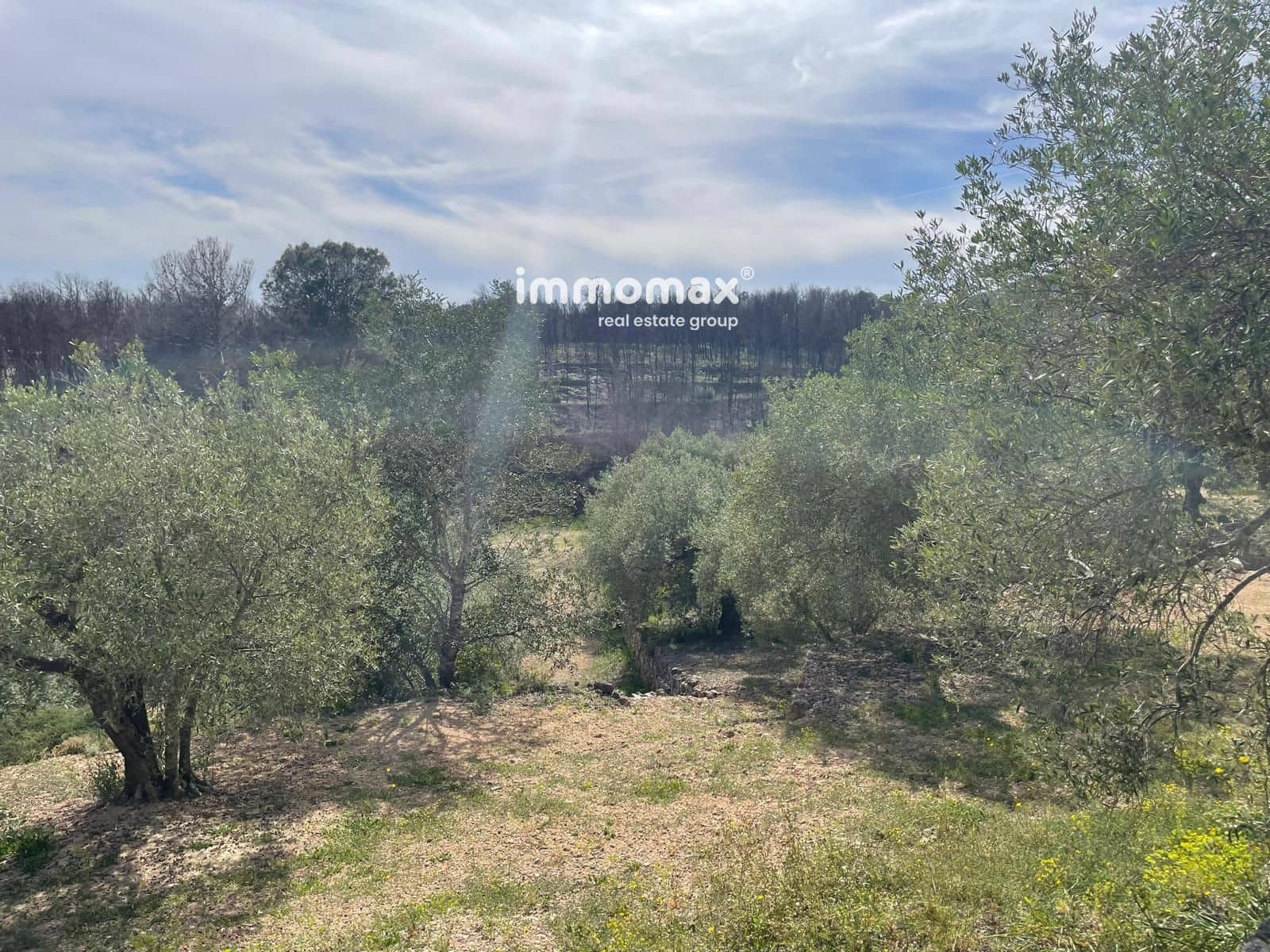 Undeveloped Land for sale in Xerta - € 22,000 (Ref: 9827674)
