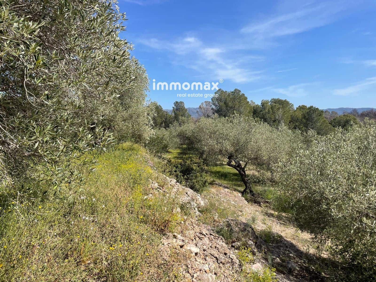 Undeveloped Land for sale in Xerta - € 22,000 (Ref: 9827674)