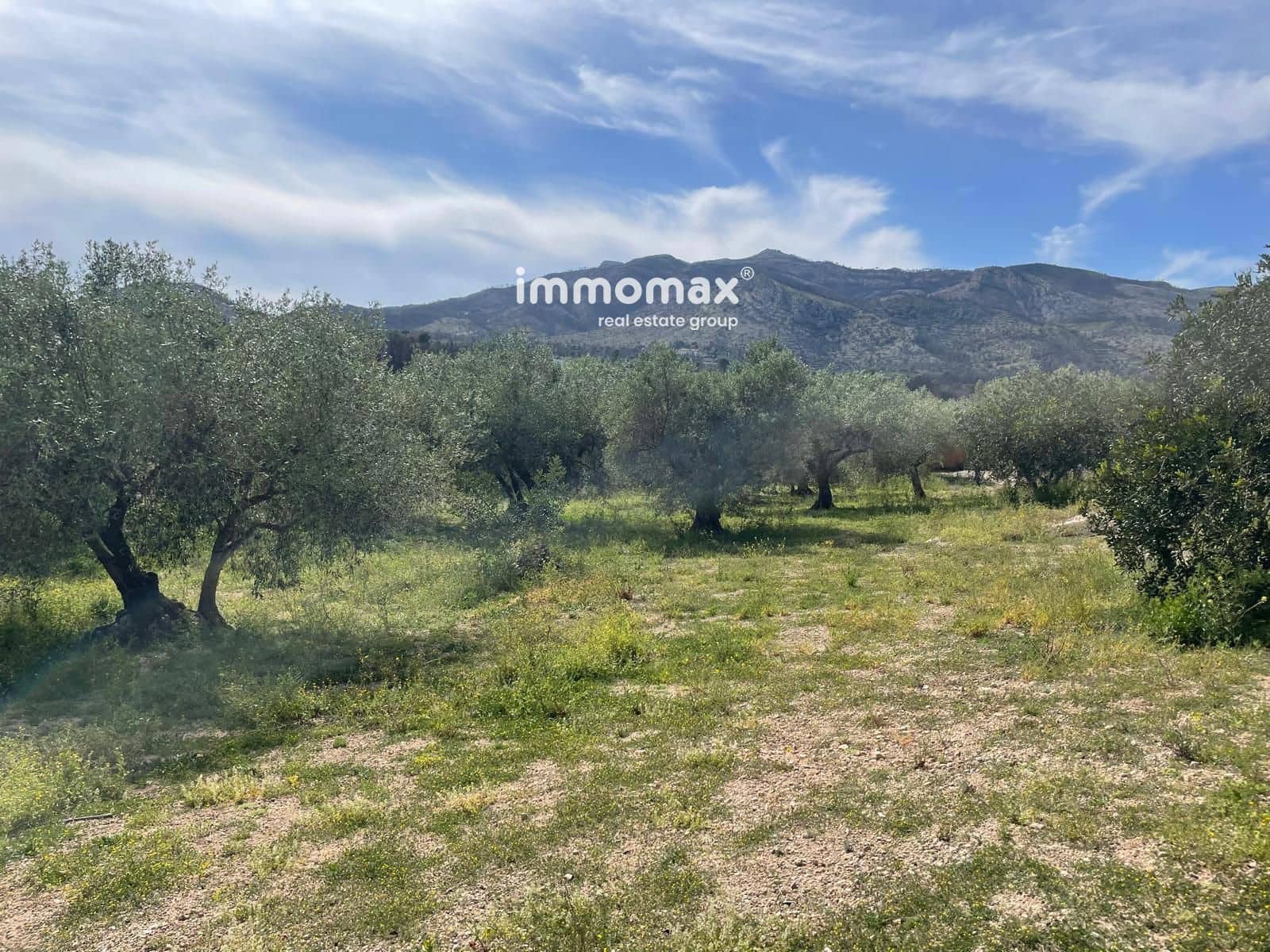Undeveloped Land for sale in Xerta - € 22,000 (Ref: 9827674)
