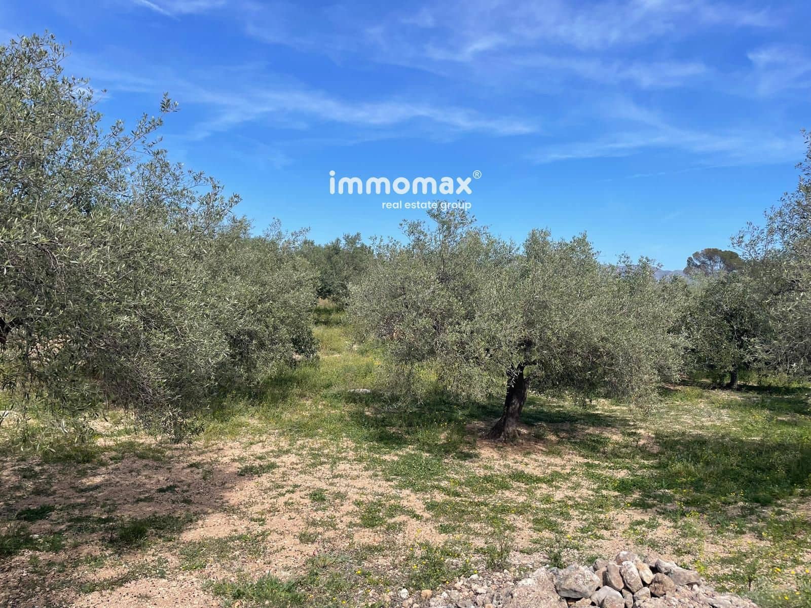 Undeveloped Land for sale in Xerta - € 22,000 (Ref: 9827674)