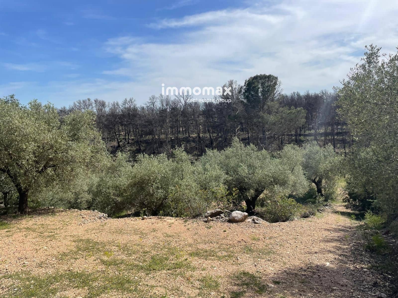 Undeveloped Land for sale in Xerta - € 22,000 (Ref: 9827674)